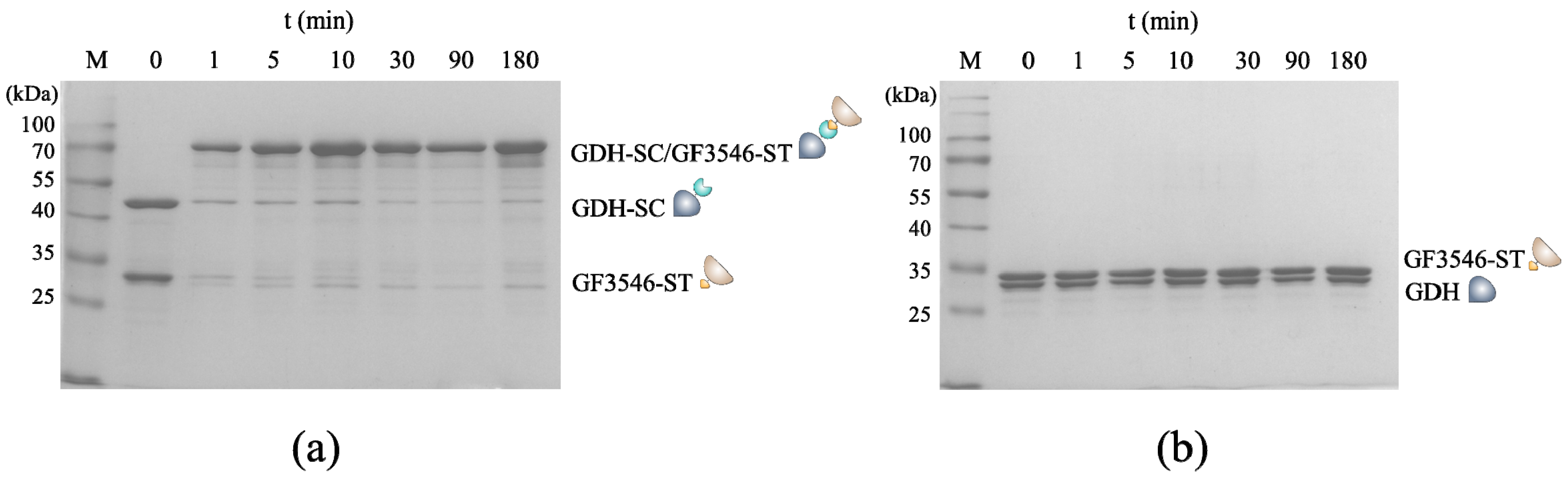 Micromachines 10 00783 g001