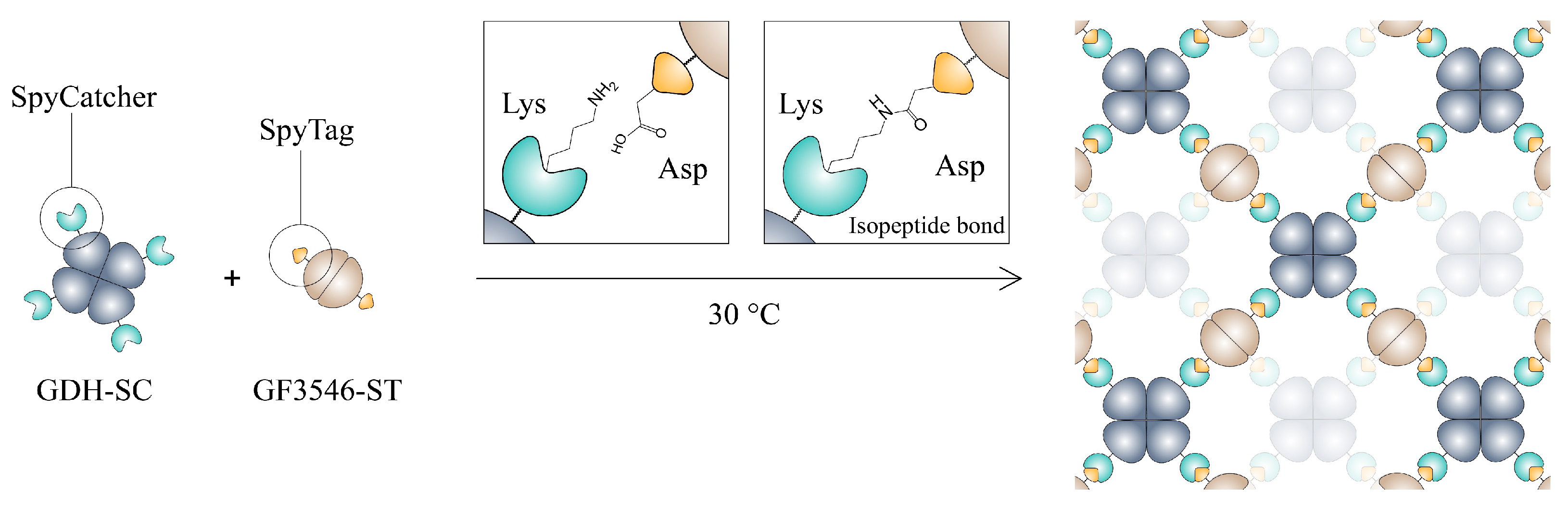 Micromachines 10 00783 sch001
