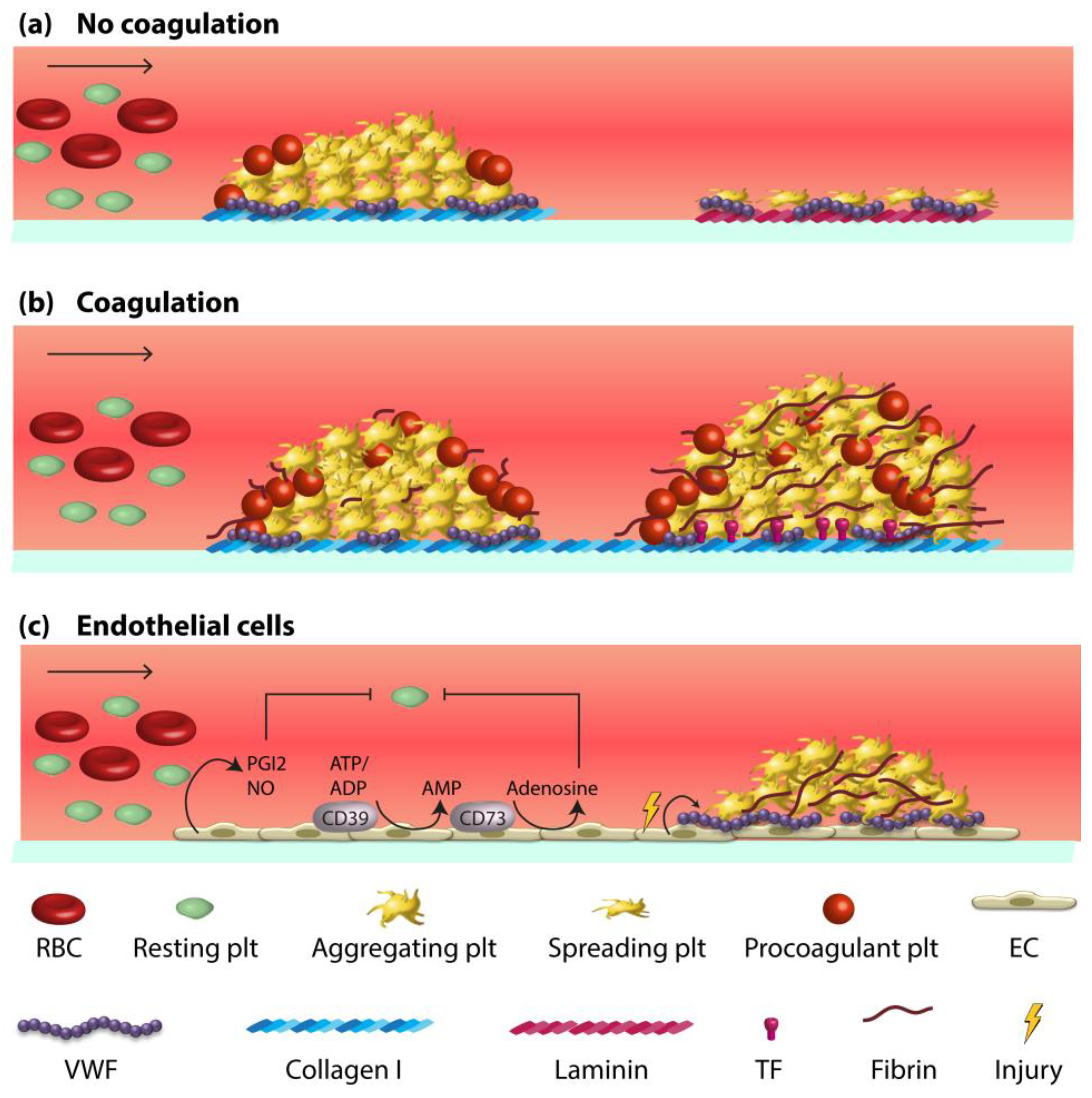 Micromachines 10 00787 g002