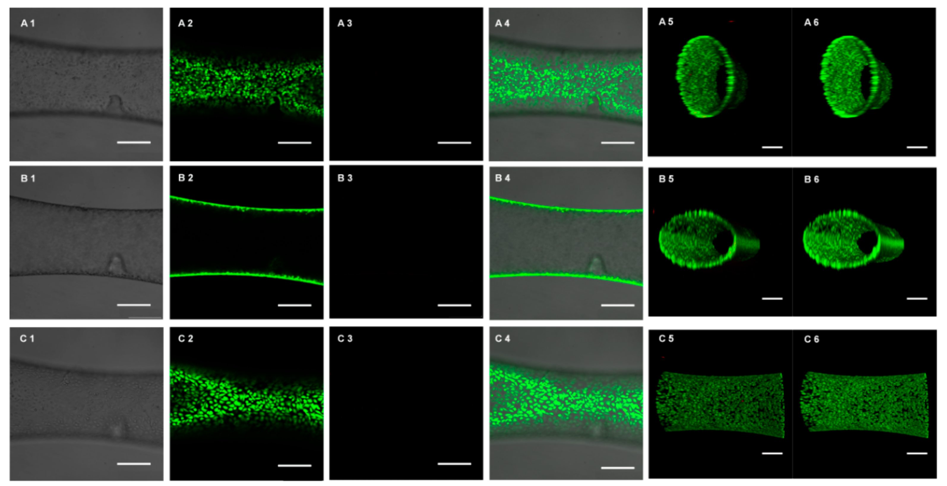 Micromachines 10 00790 g004 Micromachines 10 00790 g004