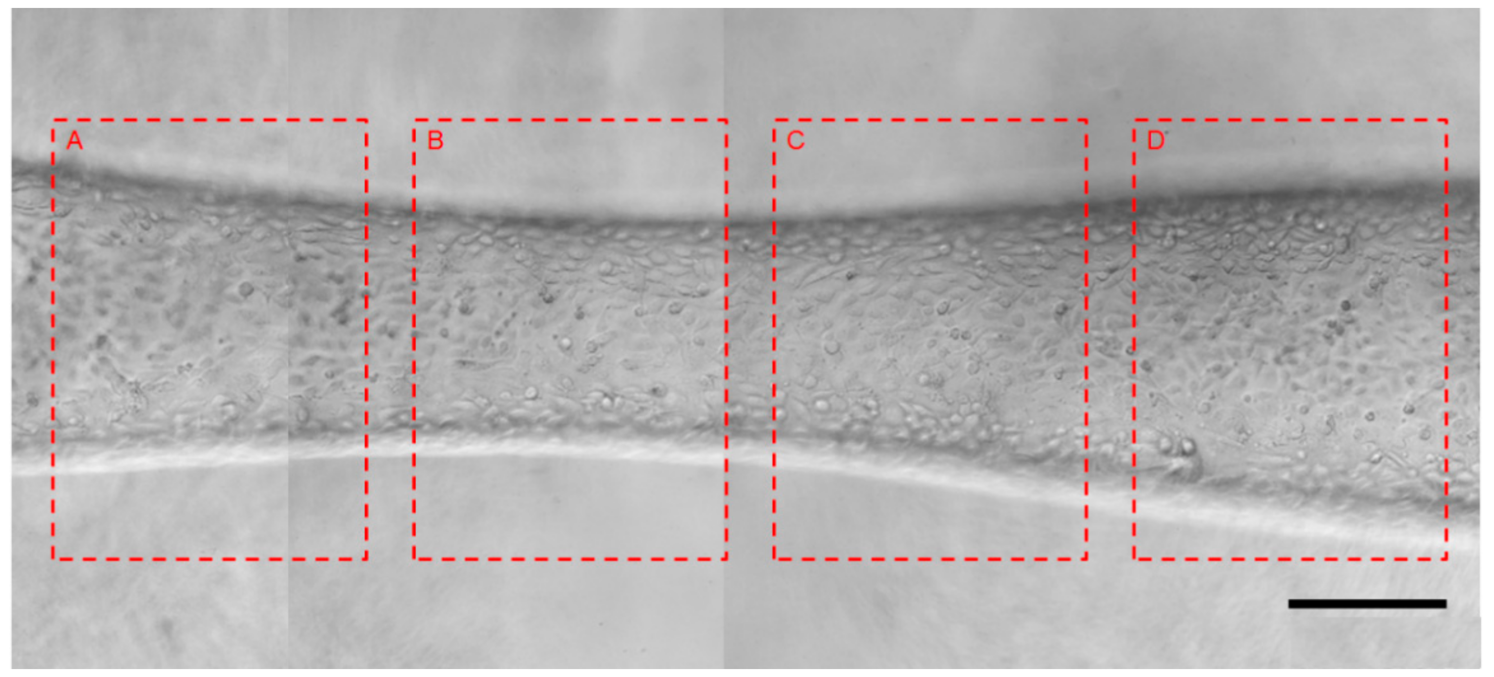 Micromachines 10 00790 g006 Micromachines 10 00790 g006