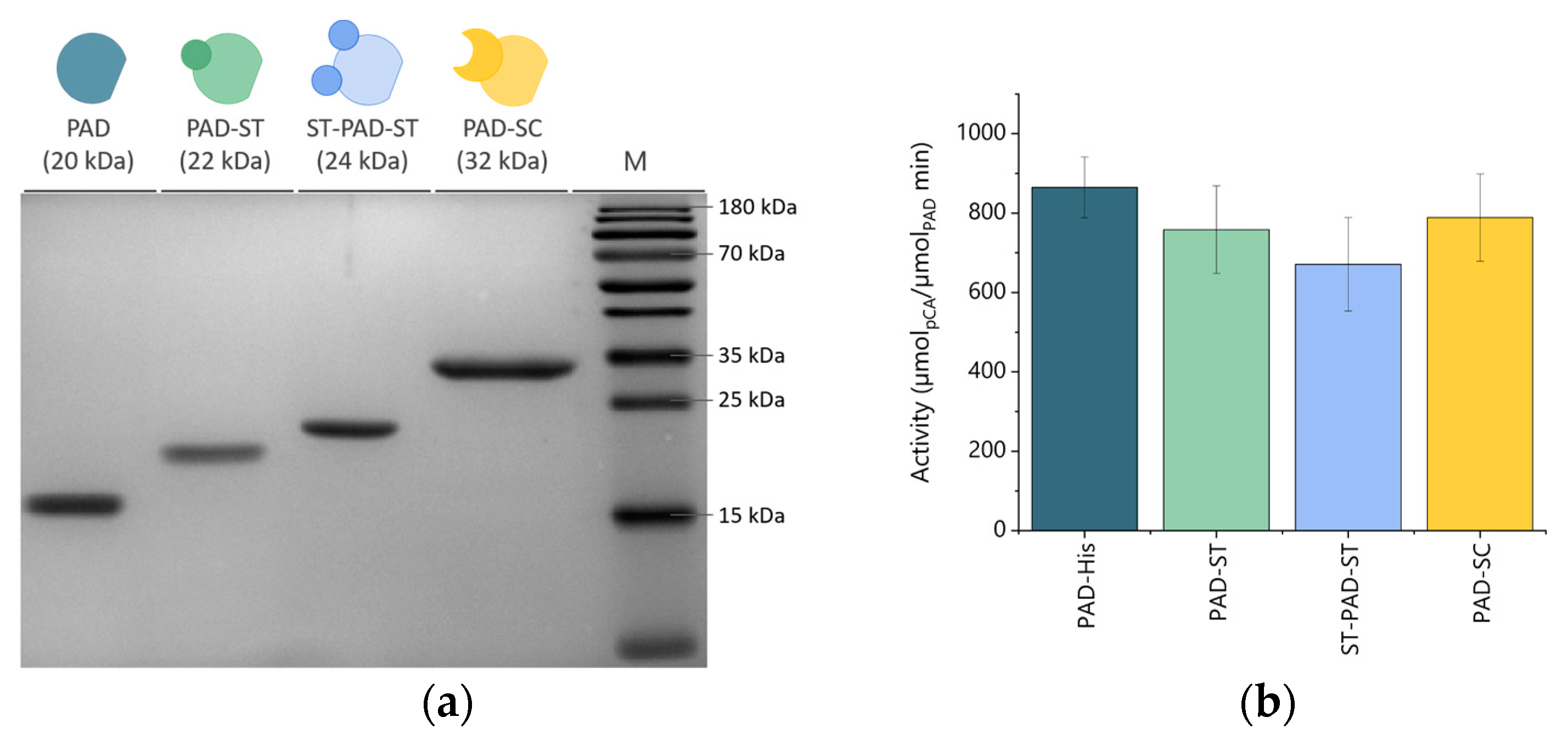 Micromachines 10 00795 g002
