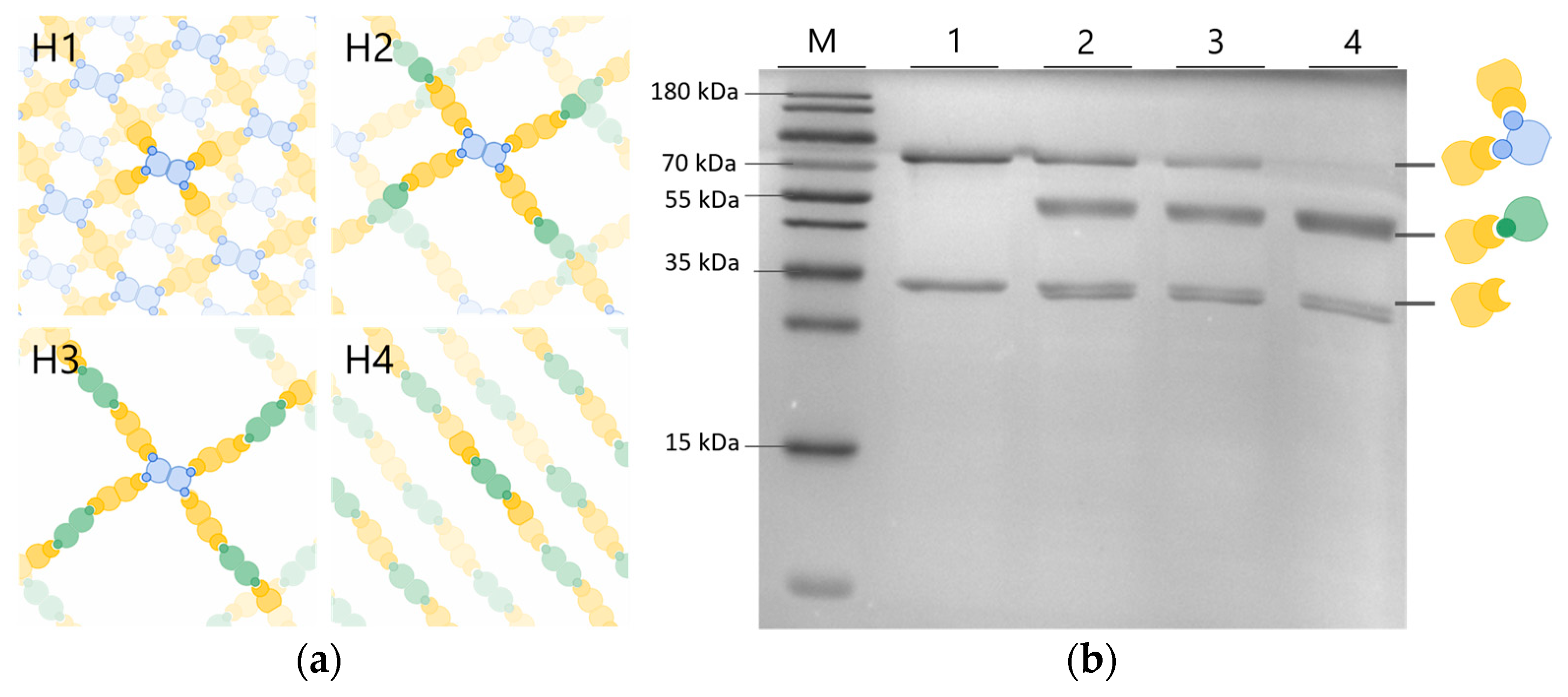 Micromachines 10 00795 g003
