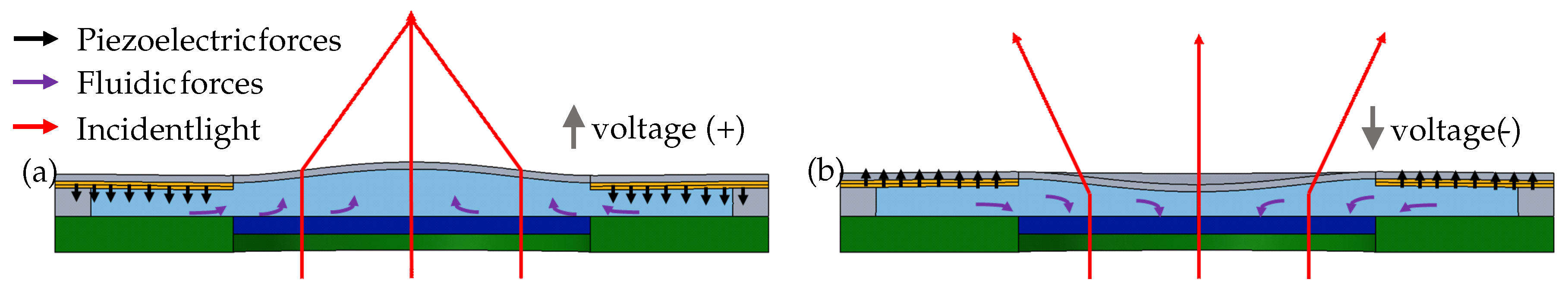 Micromachines 10 00797 g002 550