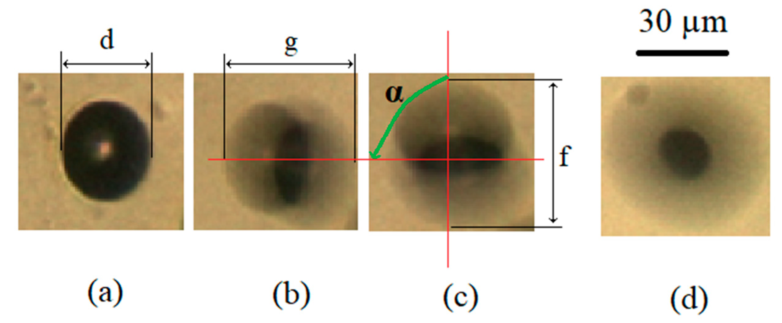 Micromachines 10 00809 g006 550