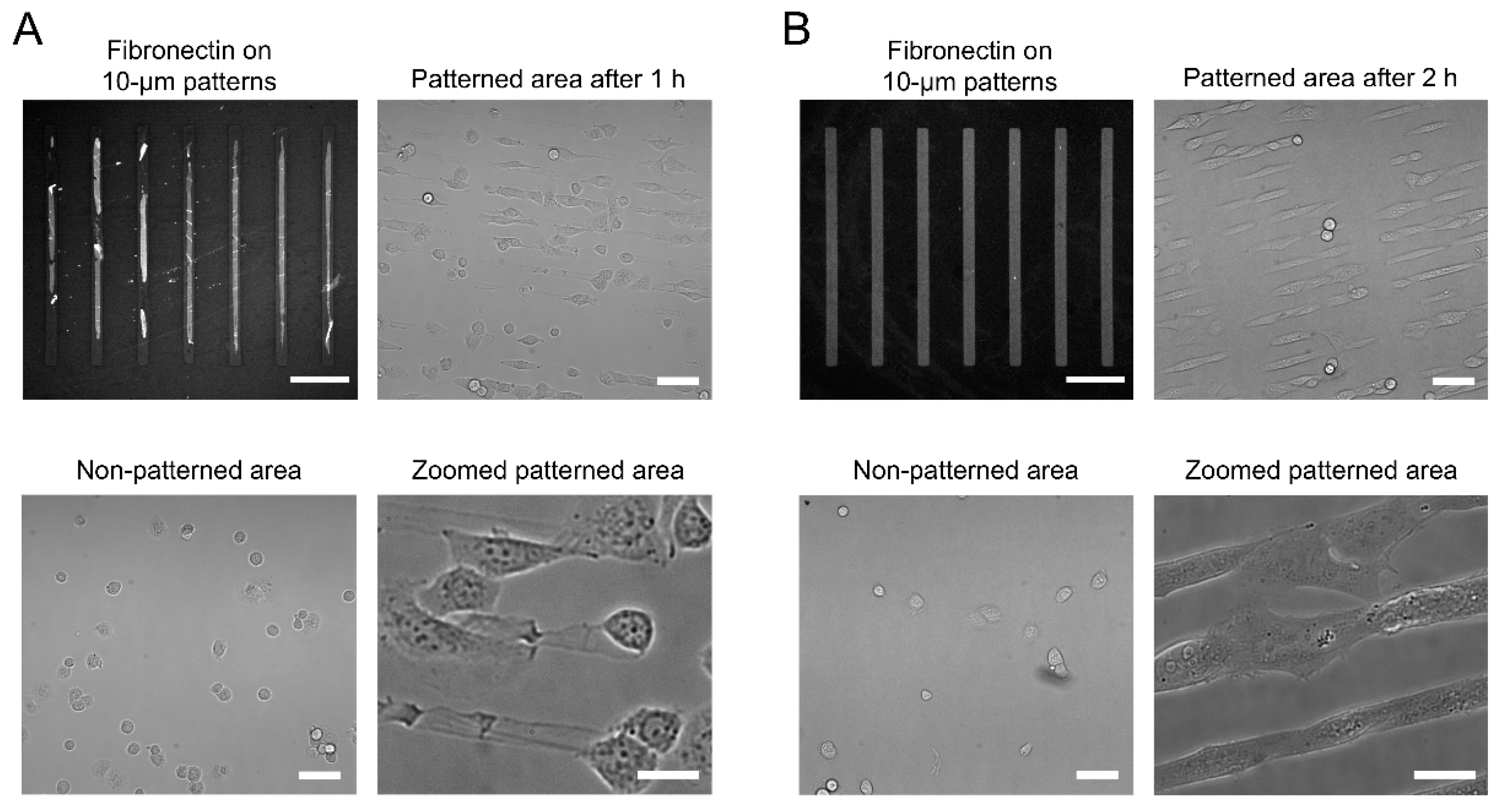 Micromachines 10 00810 g003