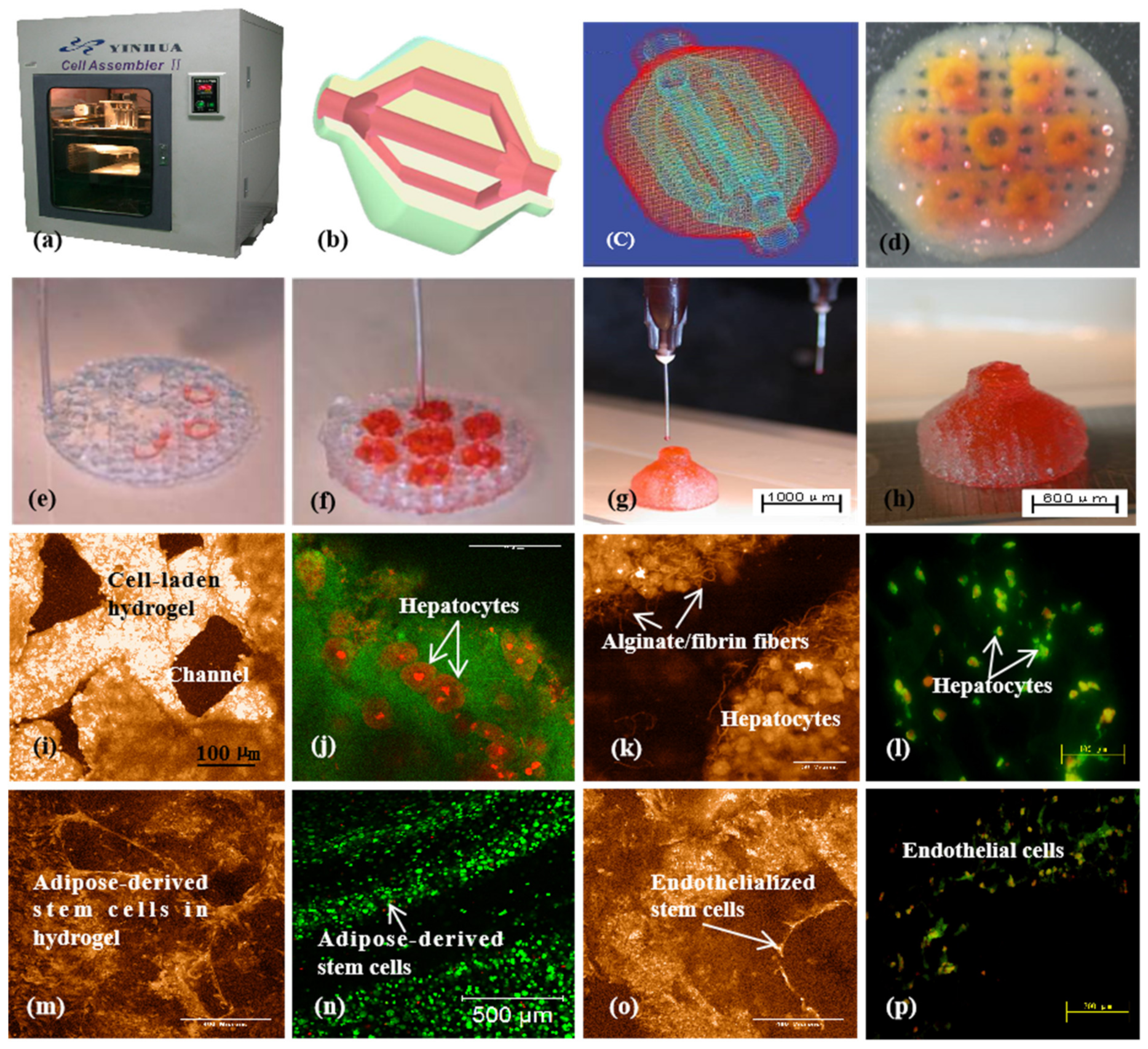 Micromachines 10 00814 g007