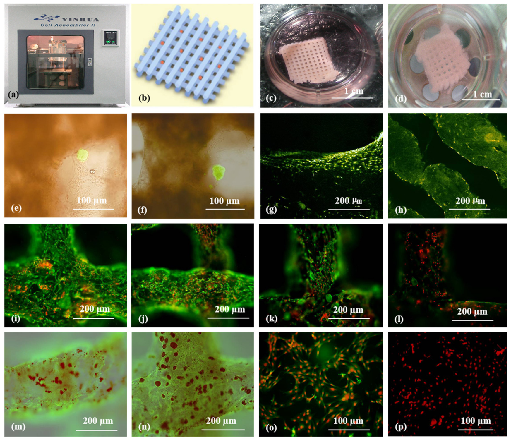 Micromachines 10 00814 g008