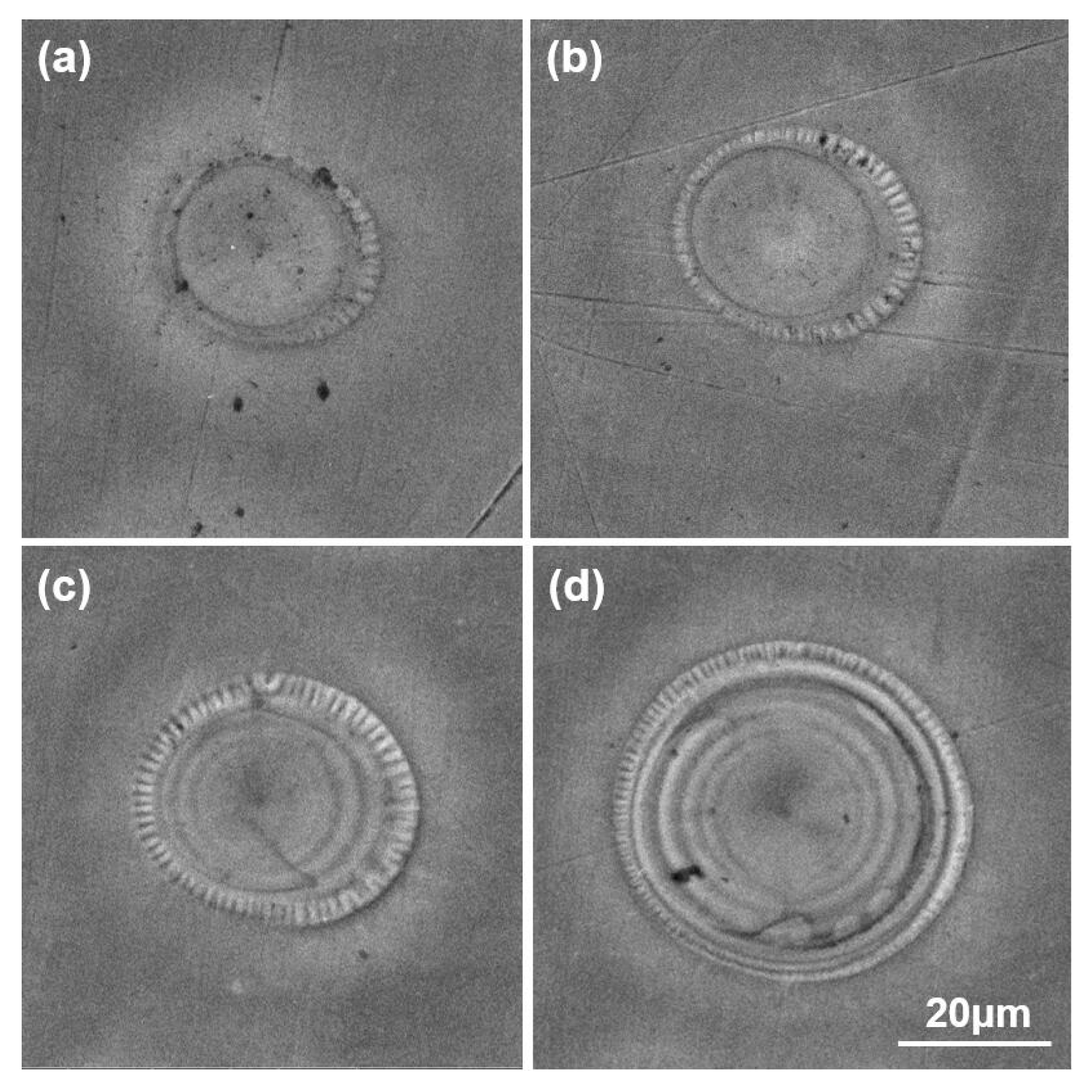 Micromachines 10 00816 g004 550