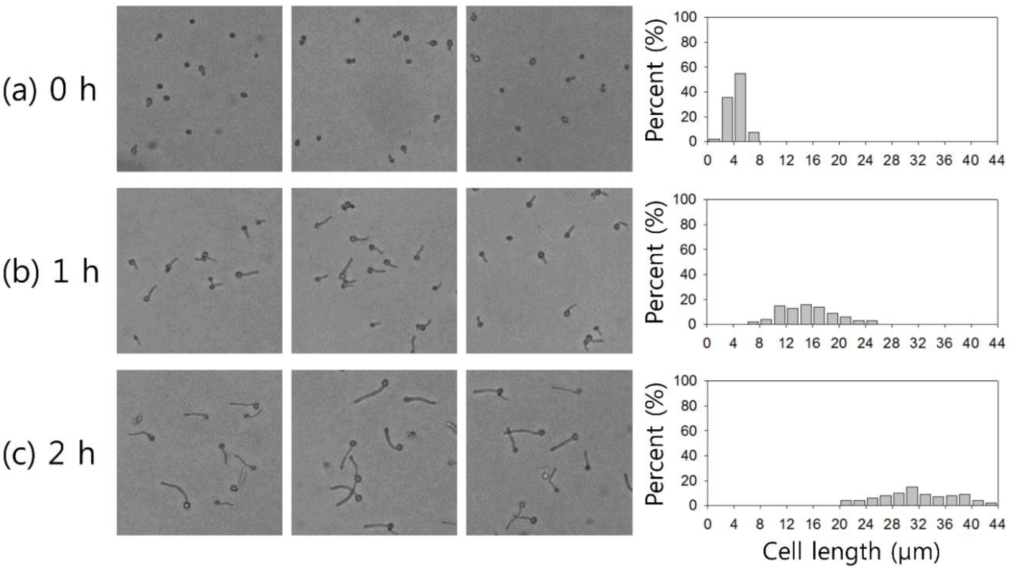 Micromachines 10 00817 g002 Micromachines 10 00817 g002