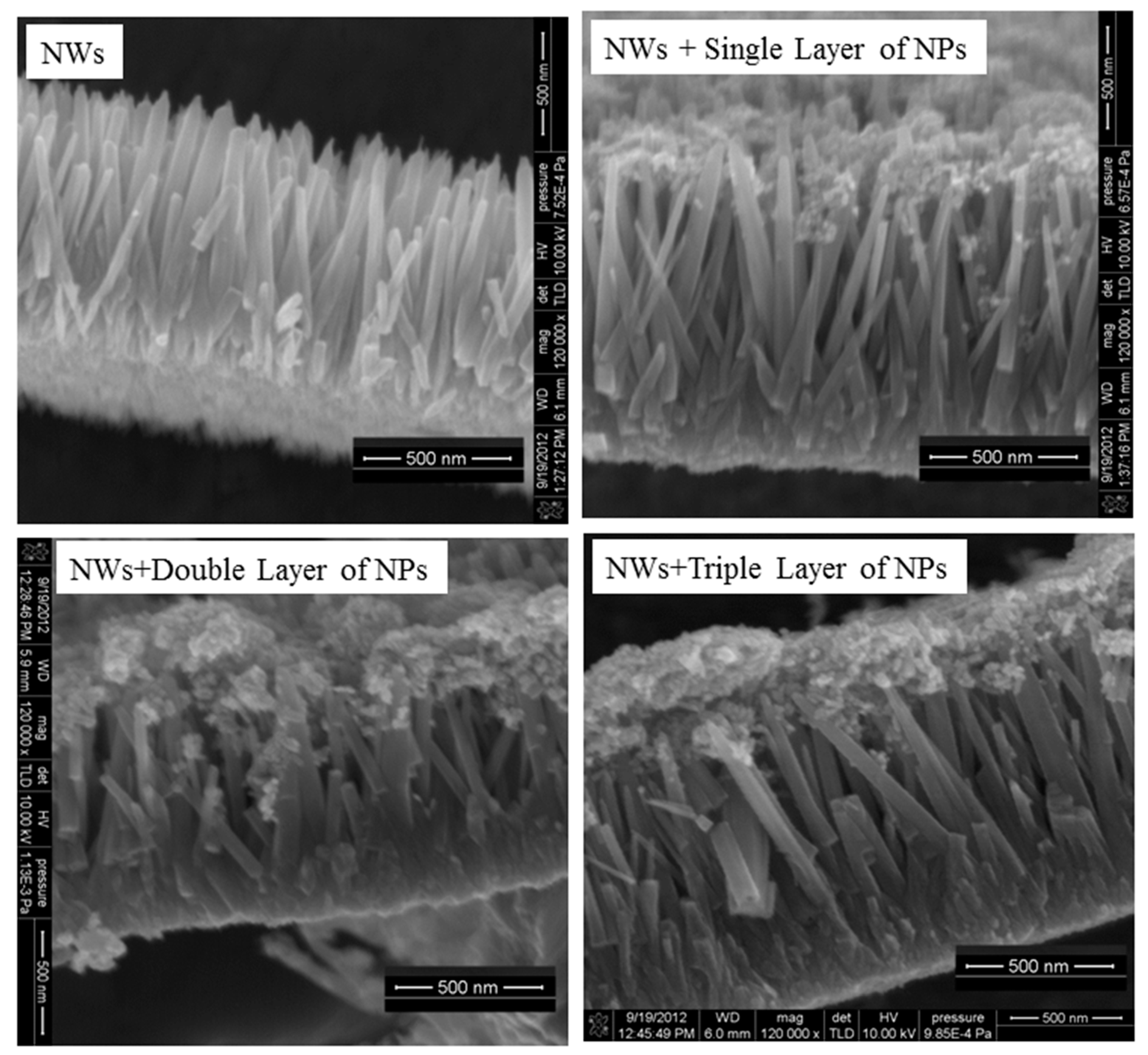 Micromachines 10 00819 g002
