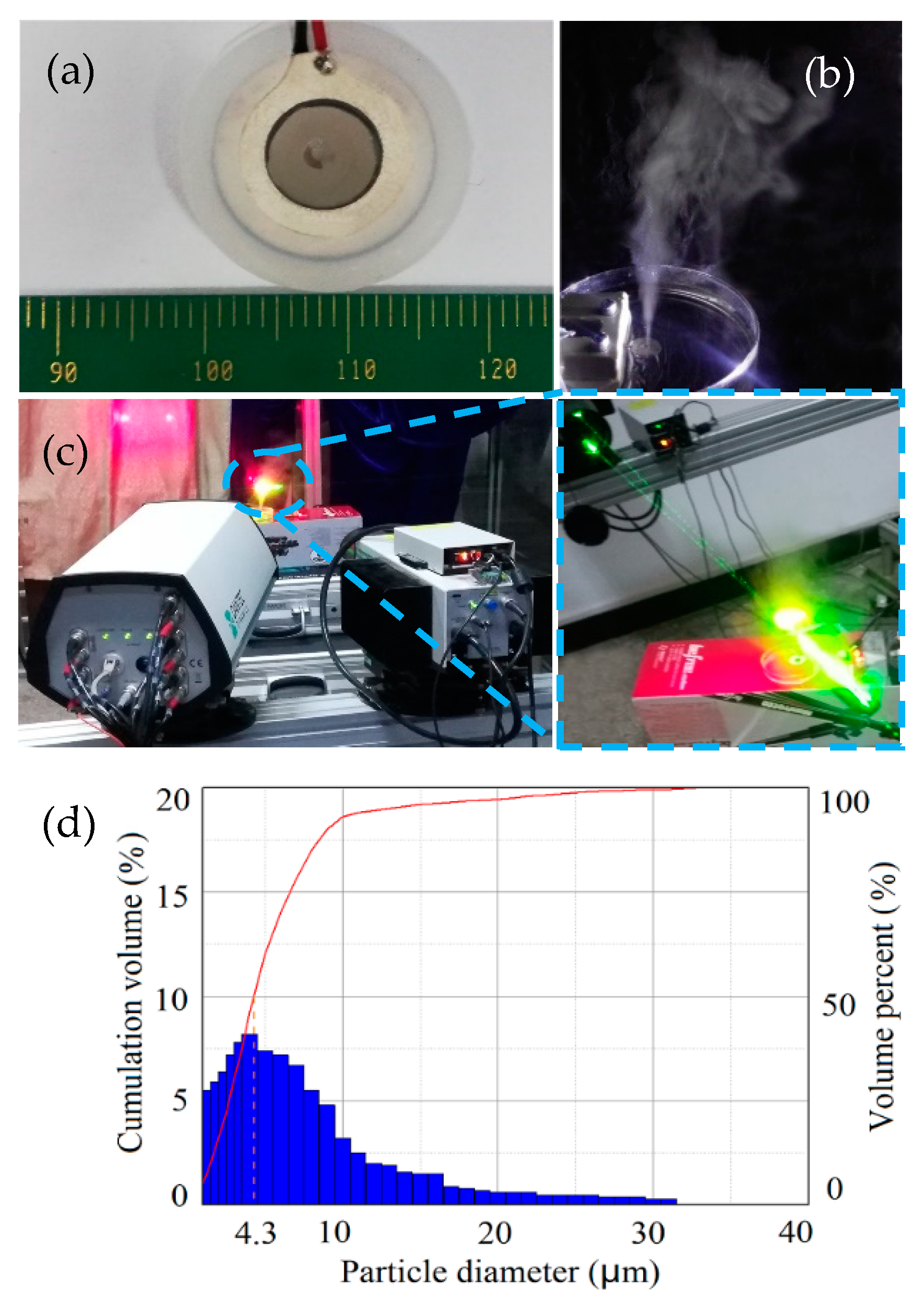 Micromachines 10 00824 g011