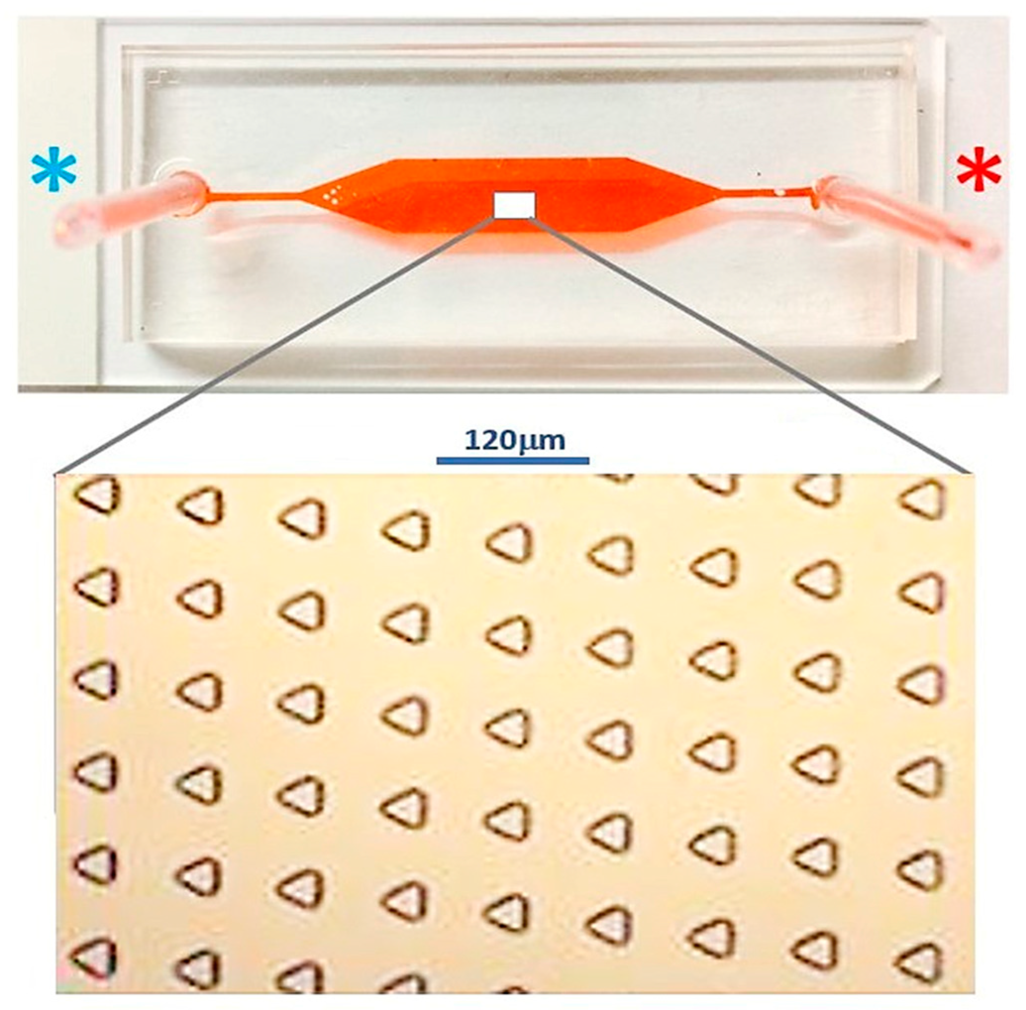 Micromachines 10 00841 g008 550