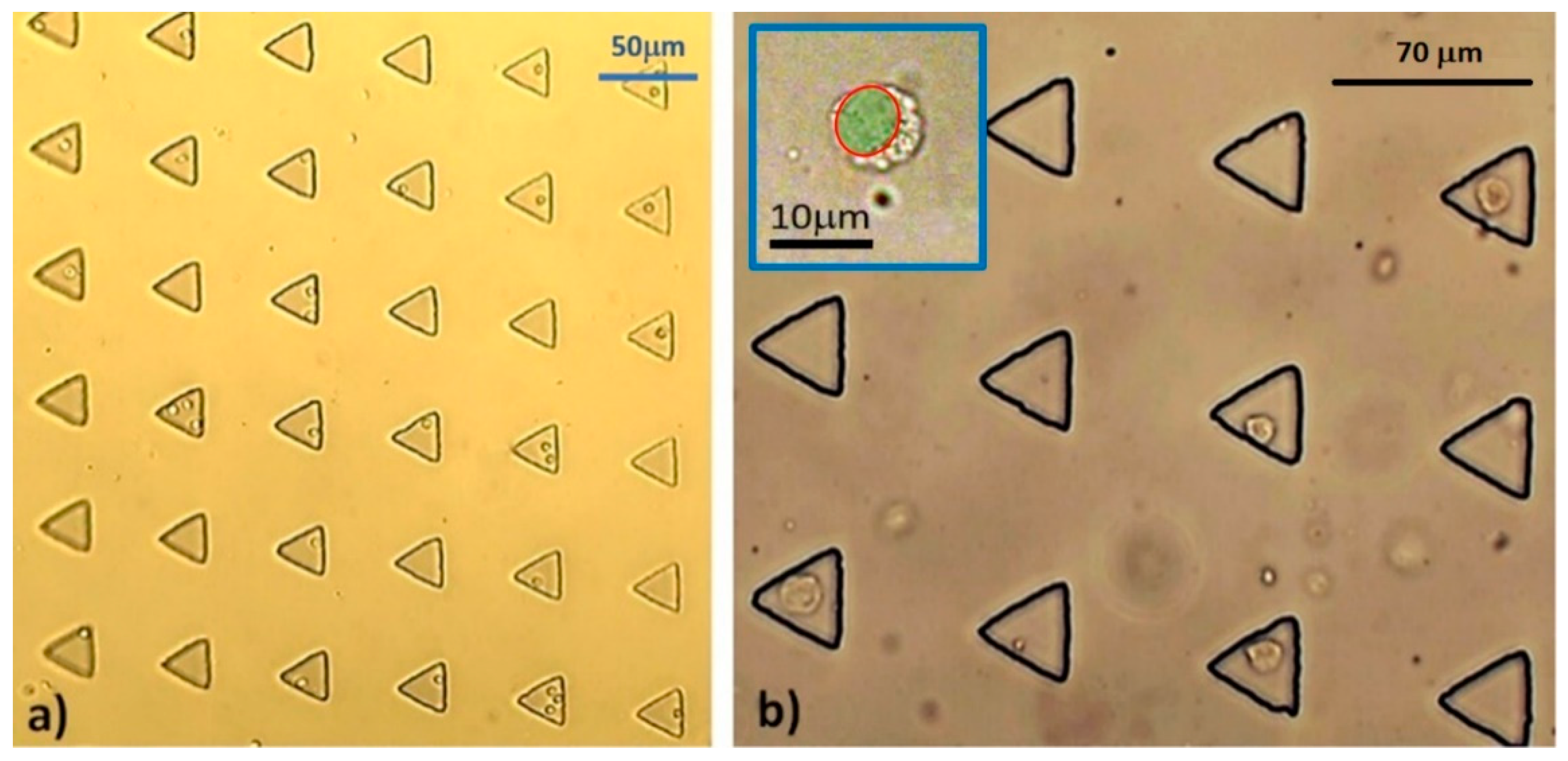 Micromachines 10 00841 g009 550