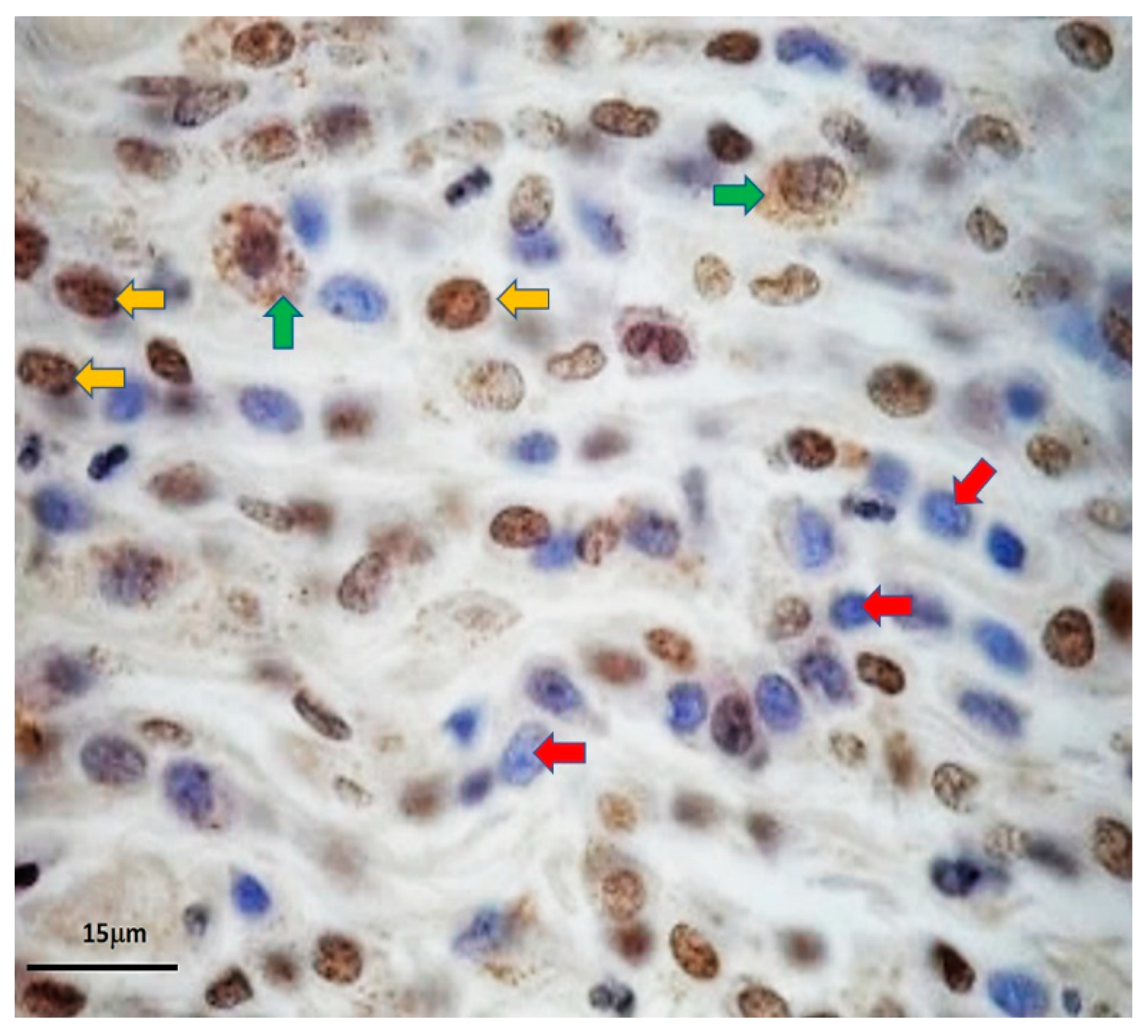 Micromachines 10 00841 g010 550