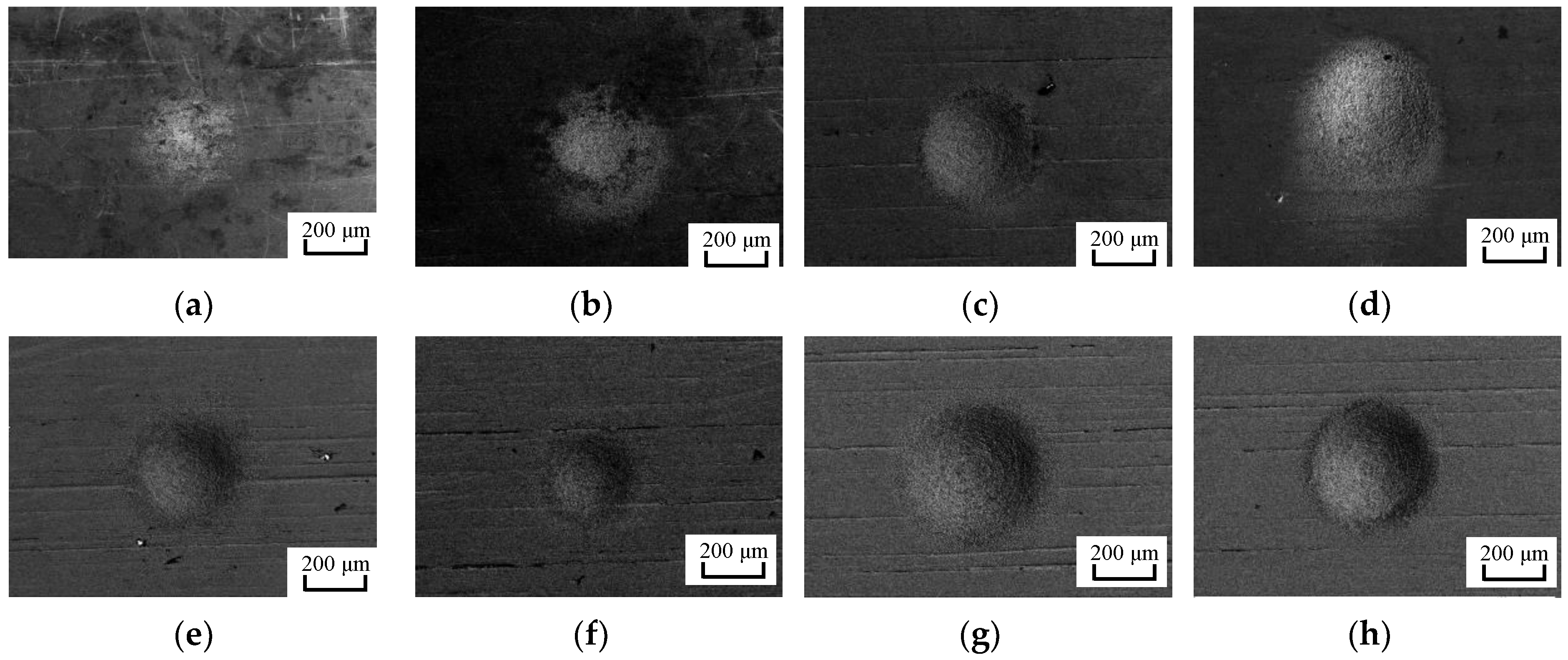 Micromachines 10 00846 g007a