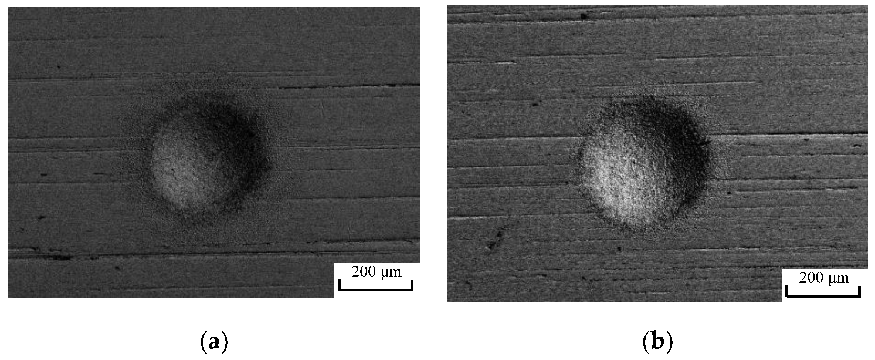 Micromachines 10 00846 g009