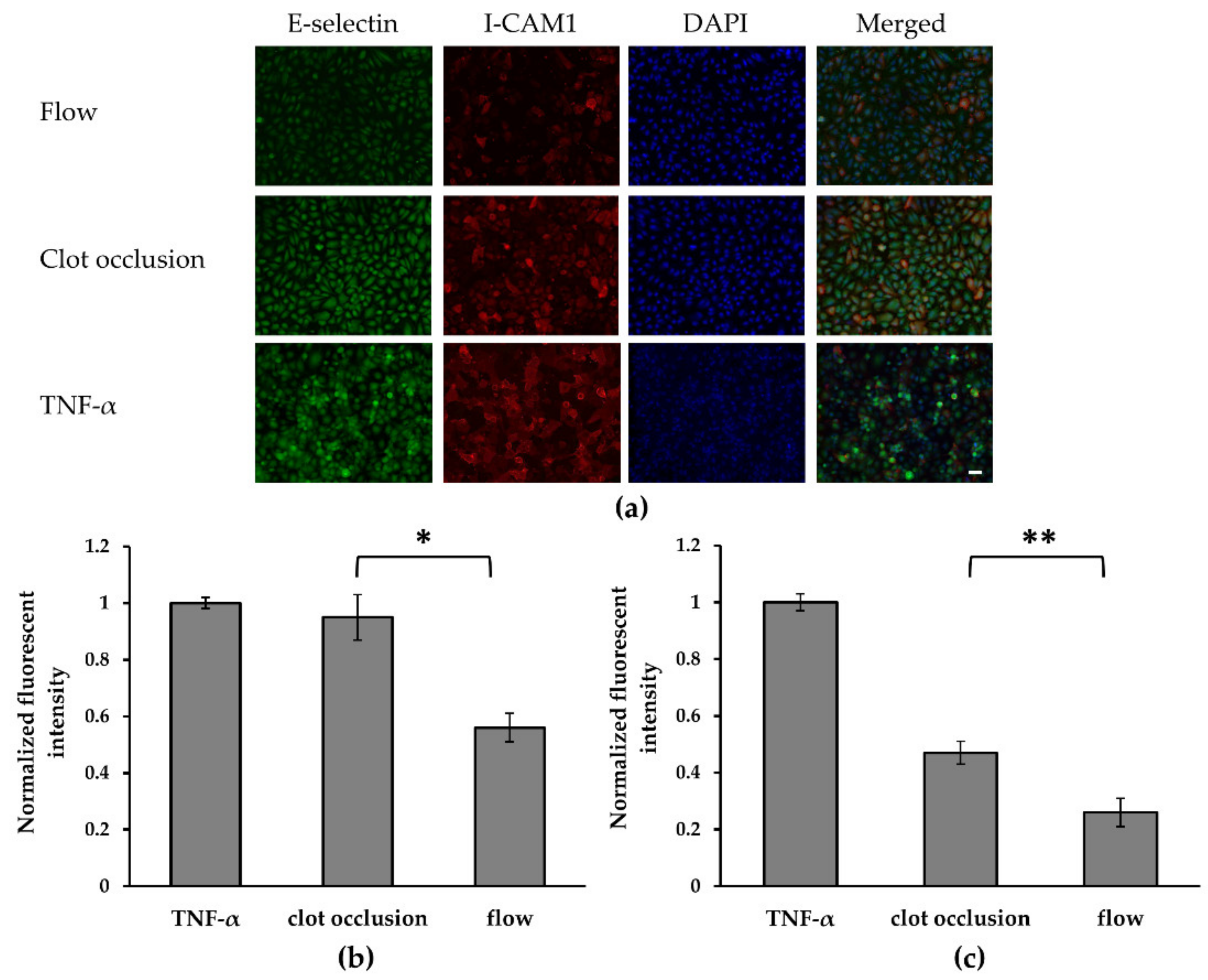 Micromachines 10 00857 g002 Micromachines 10 00857 g002