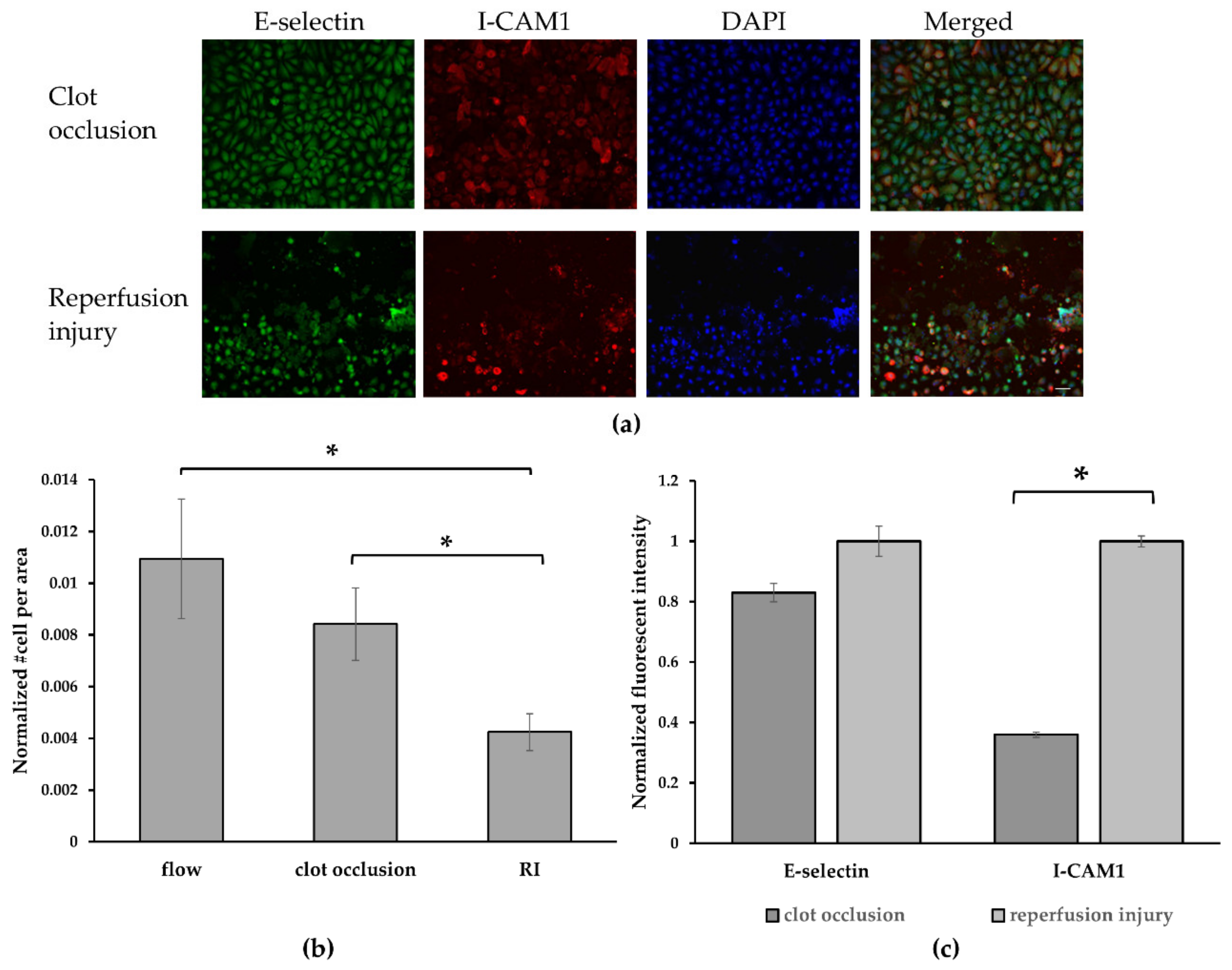 Micromachines 10 00857 g004 Micromachines 10 00857 g004