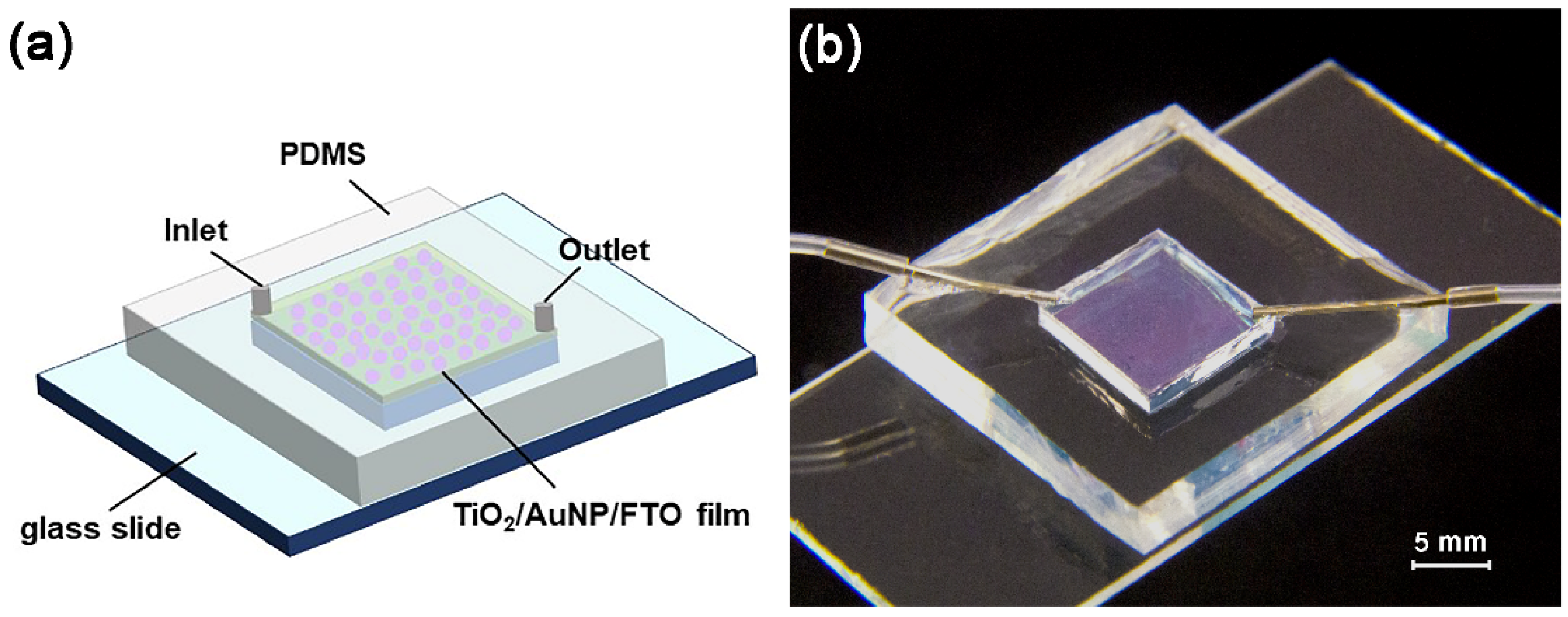 Micromachines 10 00869 g001