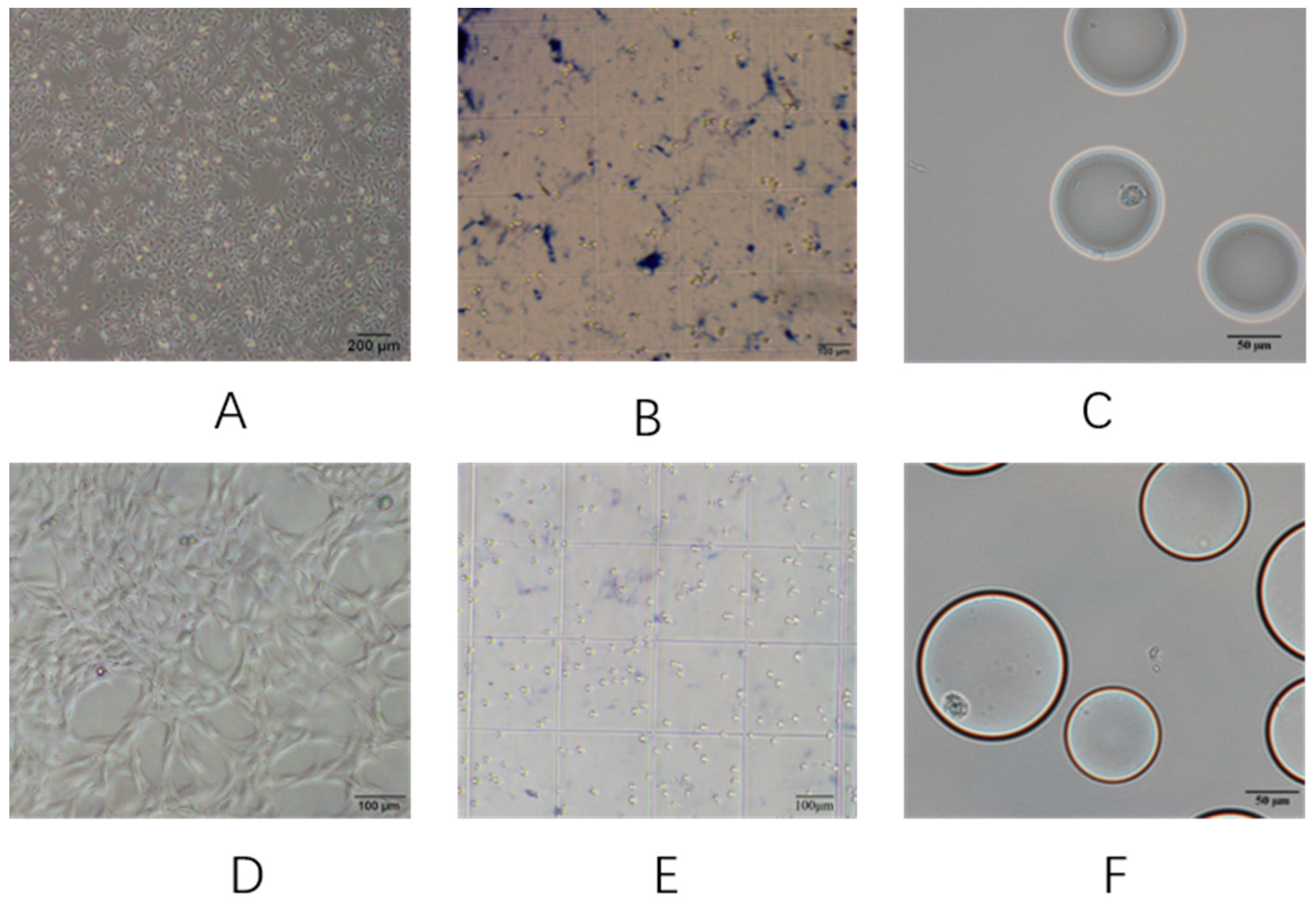 Micromachines 10 00871 g002 Micromachines 10 00871 g002