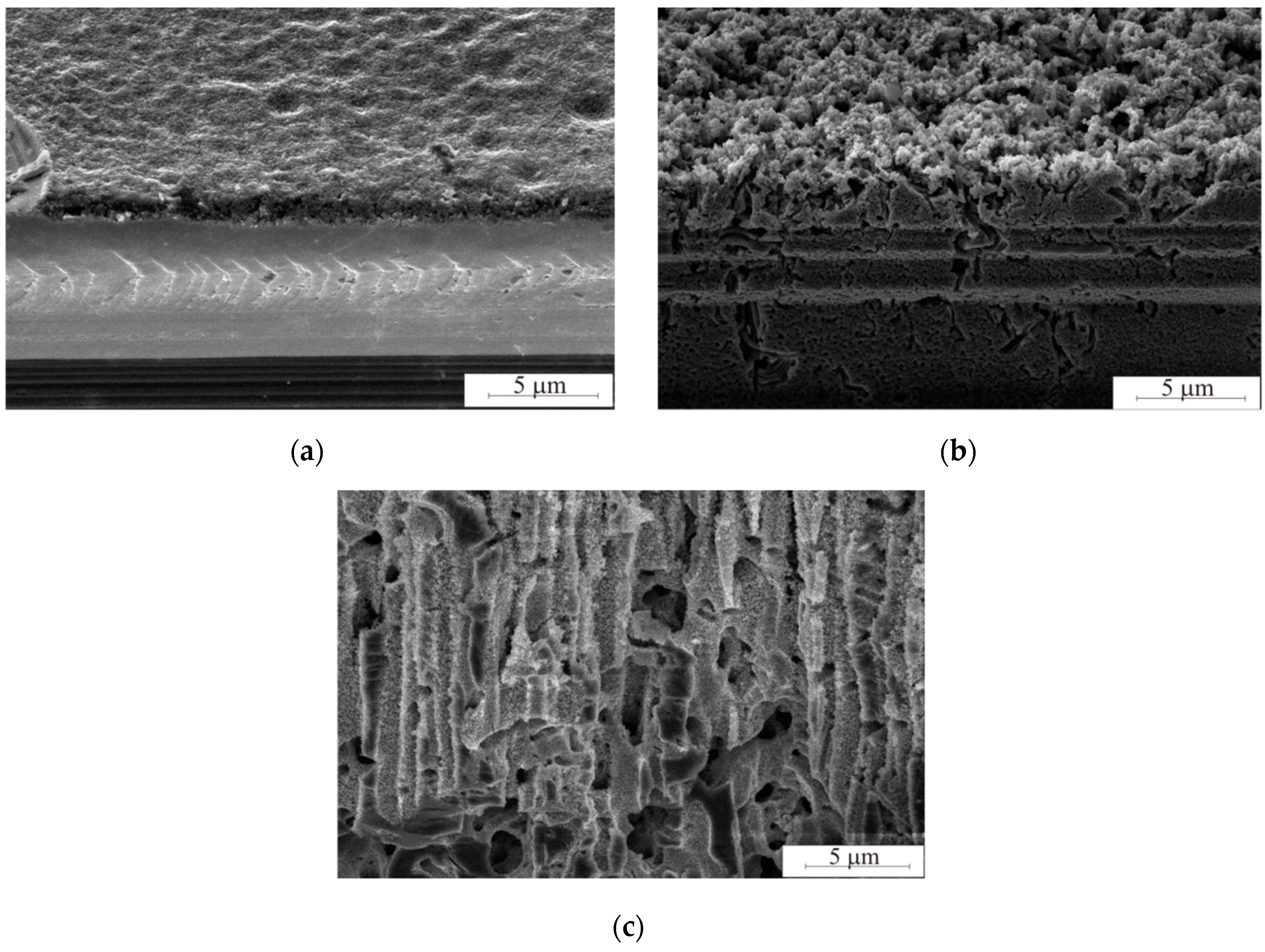Micromachines 10 00872 g003