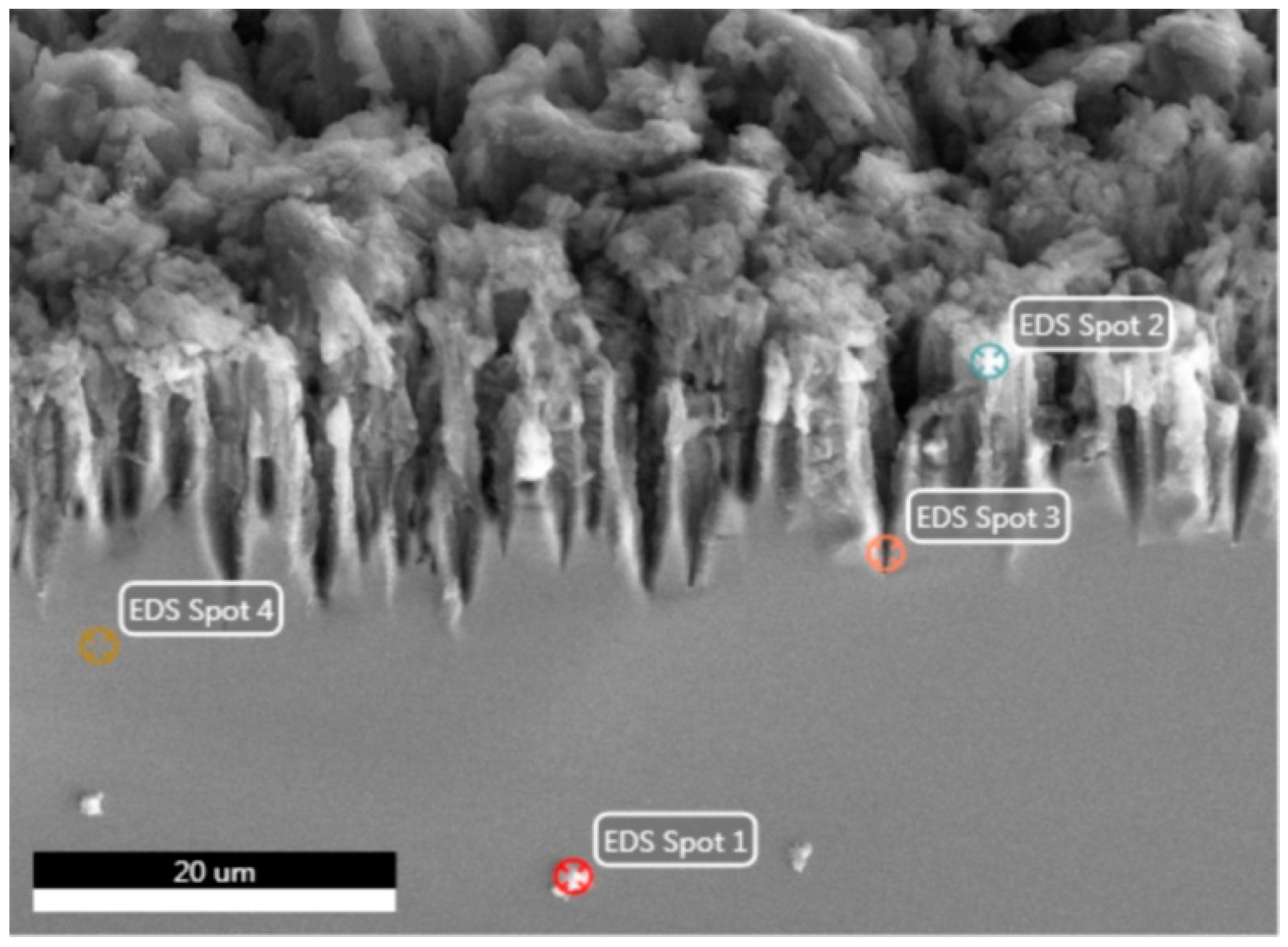 Micromachines 10 00872 g009
