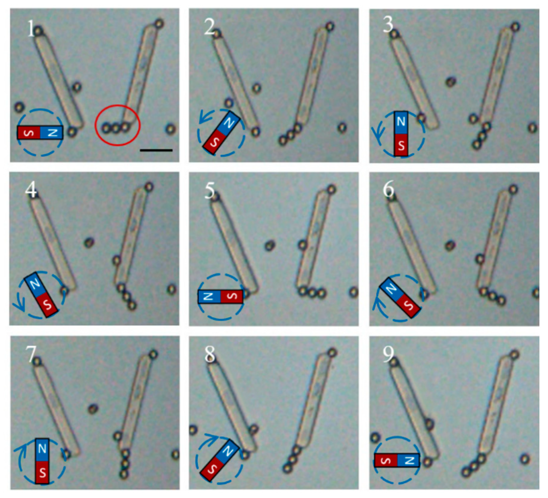 Micromachines 10 00882 g011 Micromachines 10 00882 g011