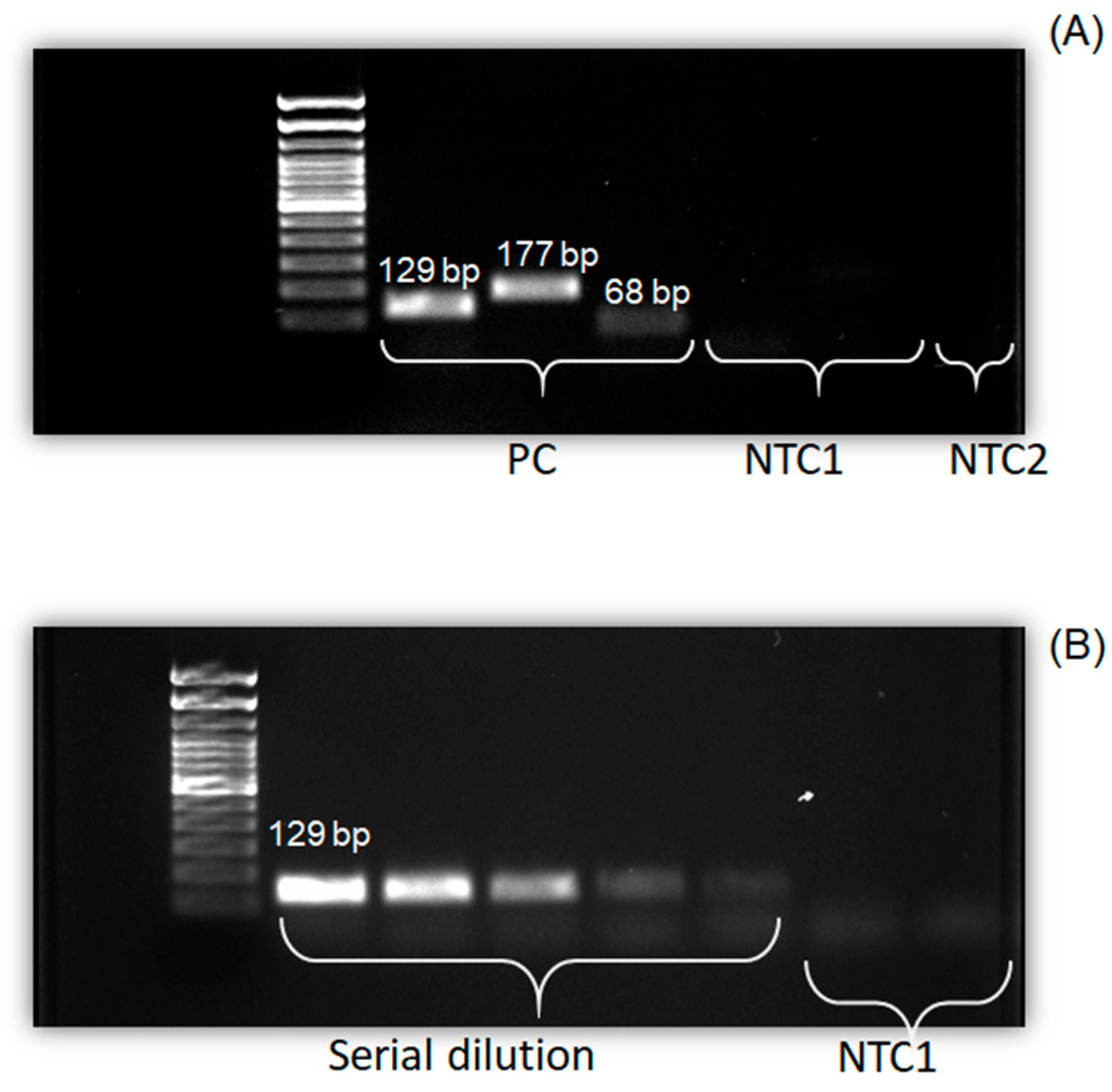 Micromachines 10 00883 g007 Micromachines 10 00883 g007