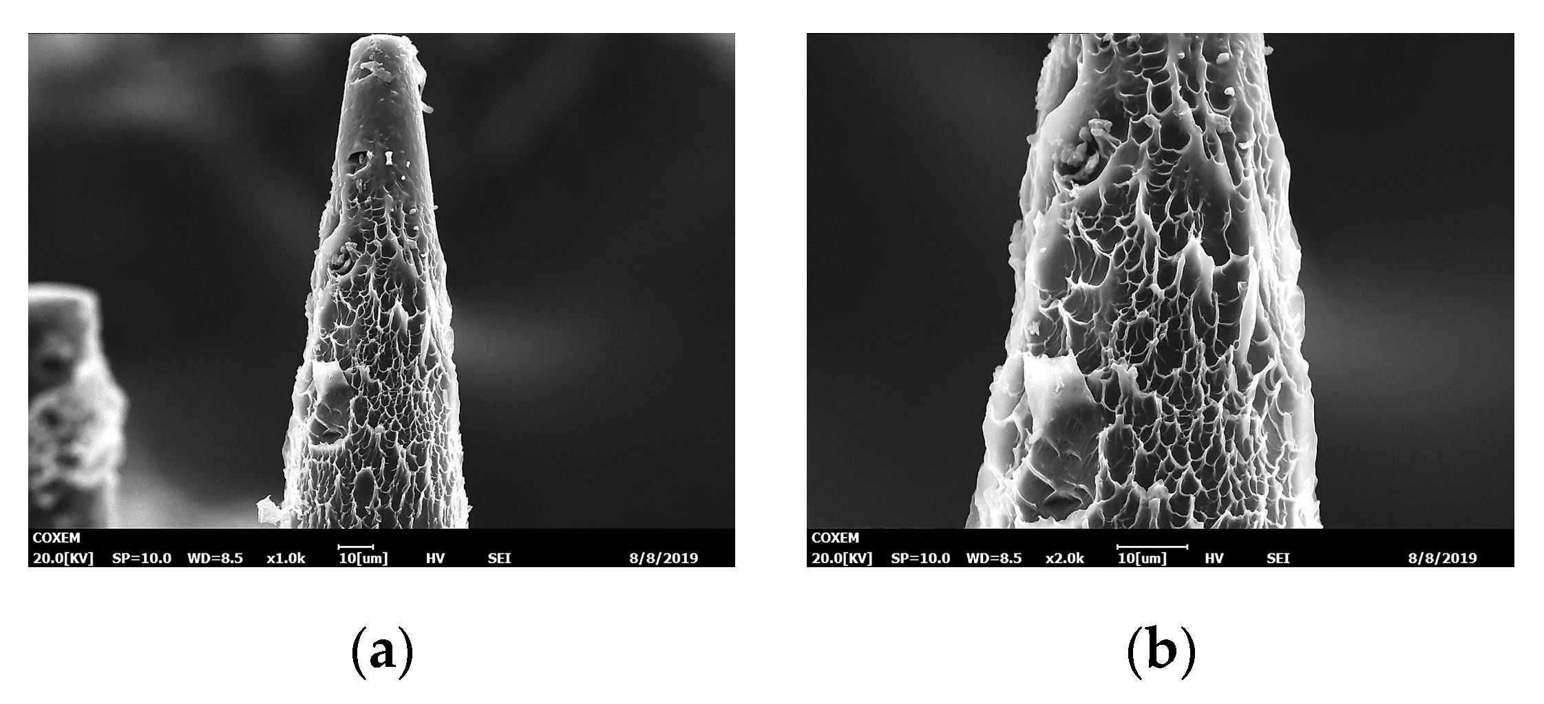 Micromachines 11 00017 g008 Micromachines 11 00017 g008