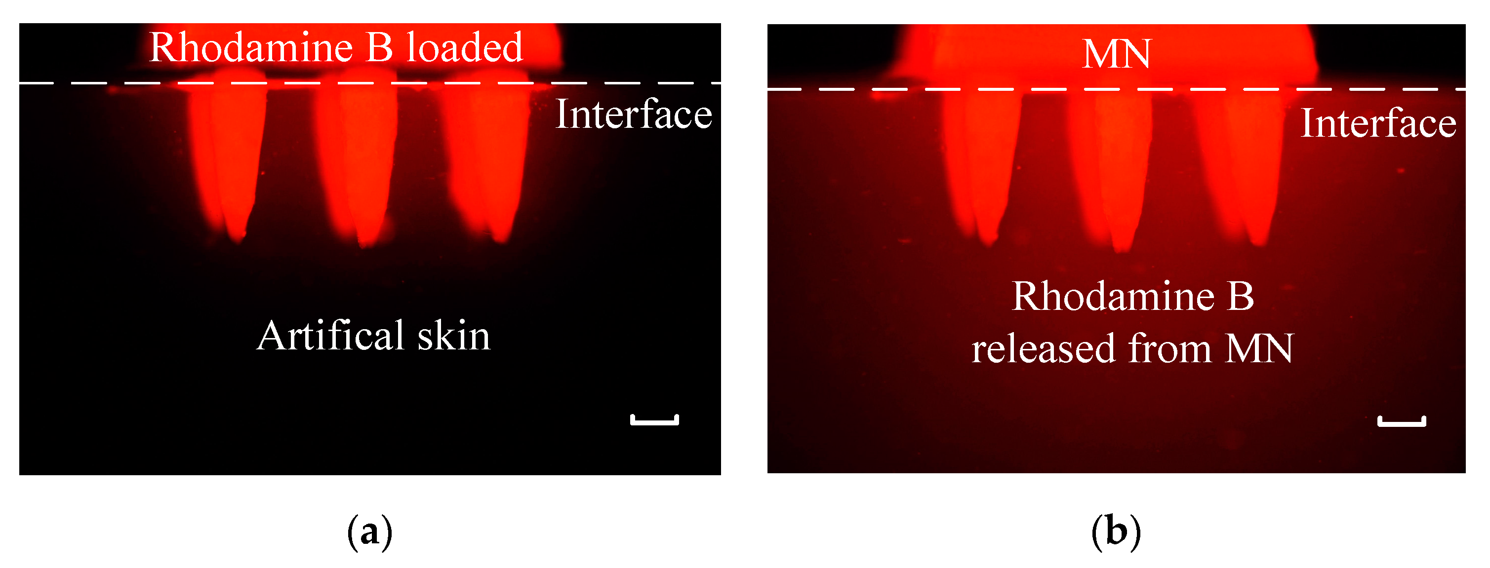 Micromachines 11 00017 g009 Micromachines 11 00017 g009