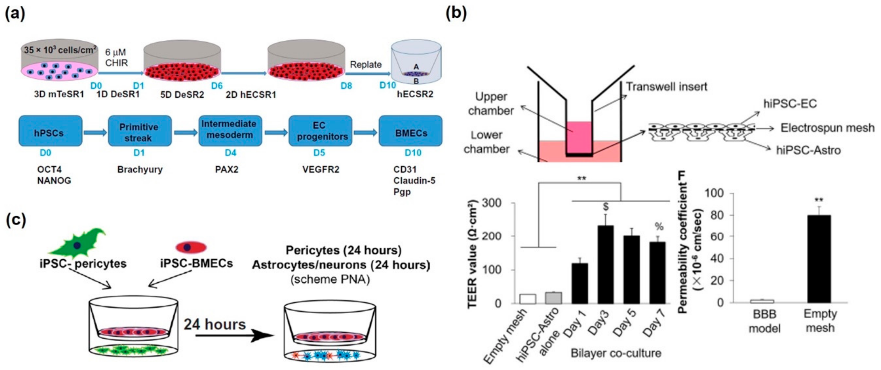 Biosensors Integration in Blood–Brain Barrier-on-a-Chip: Emerging Platform  for Monitoring Neurodegenerative Diseases