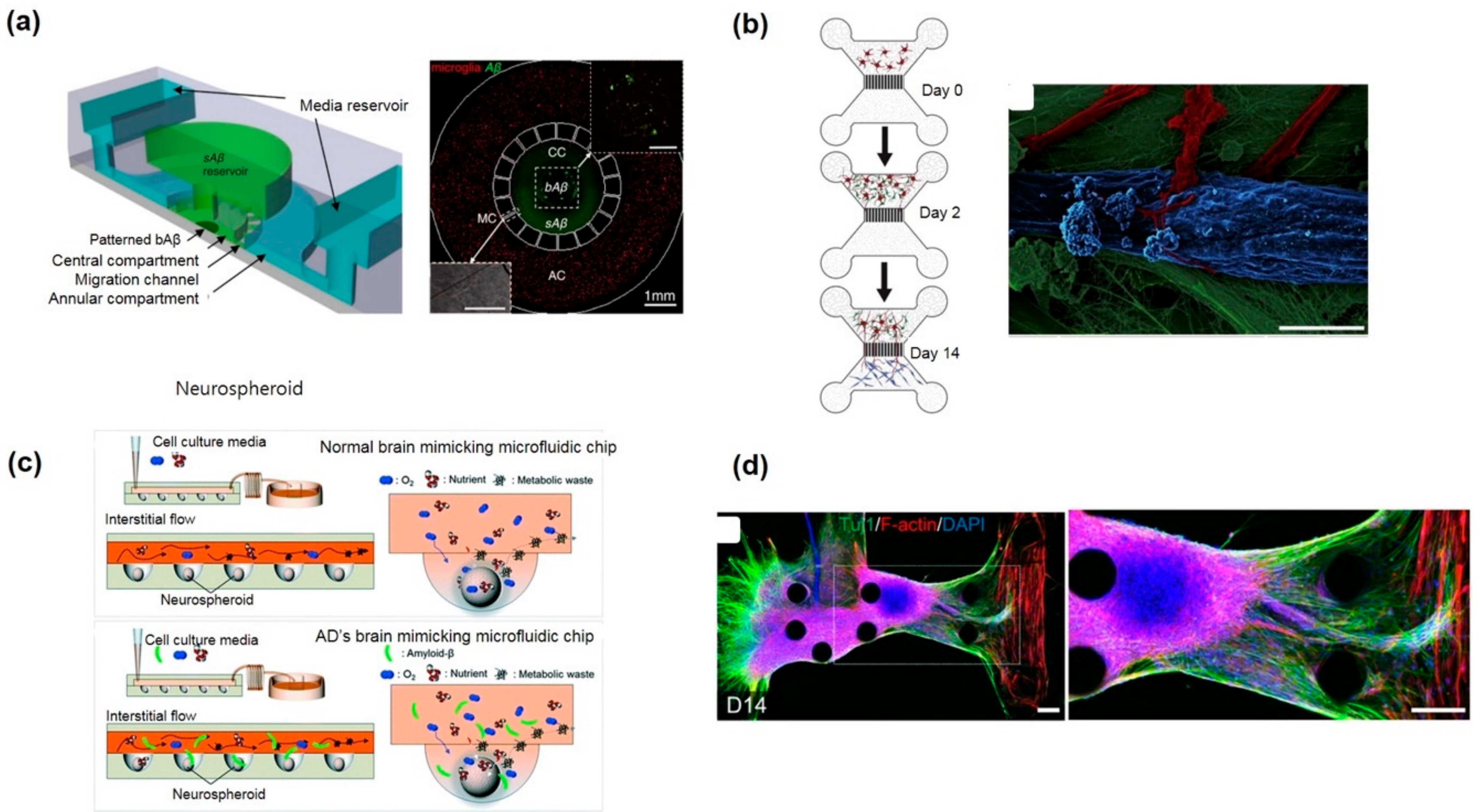 Micromachines 11 00021 g003 Micromachines 11 00021 g003