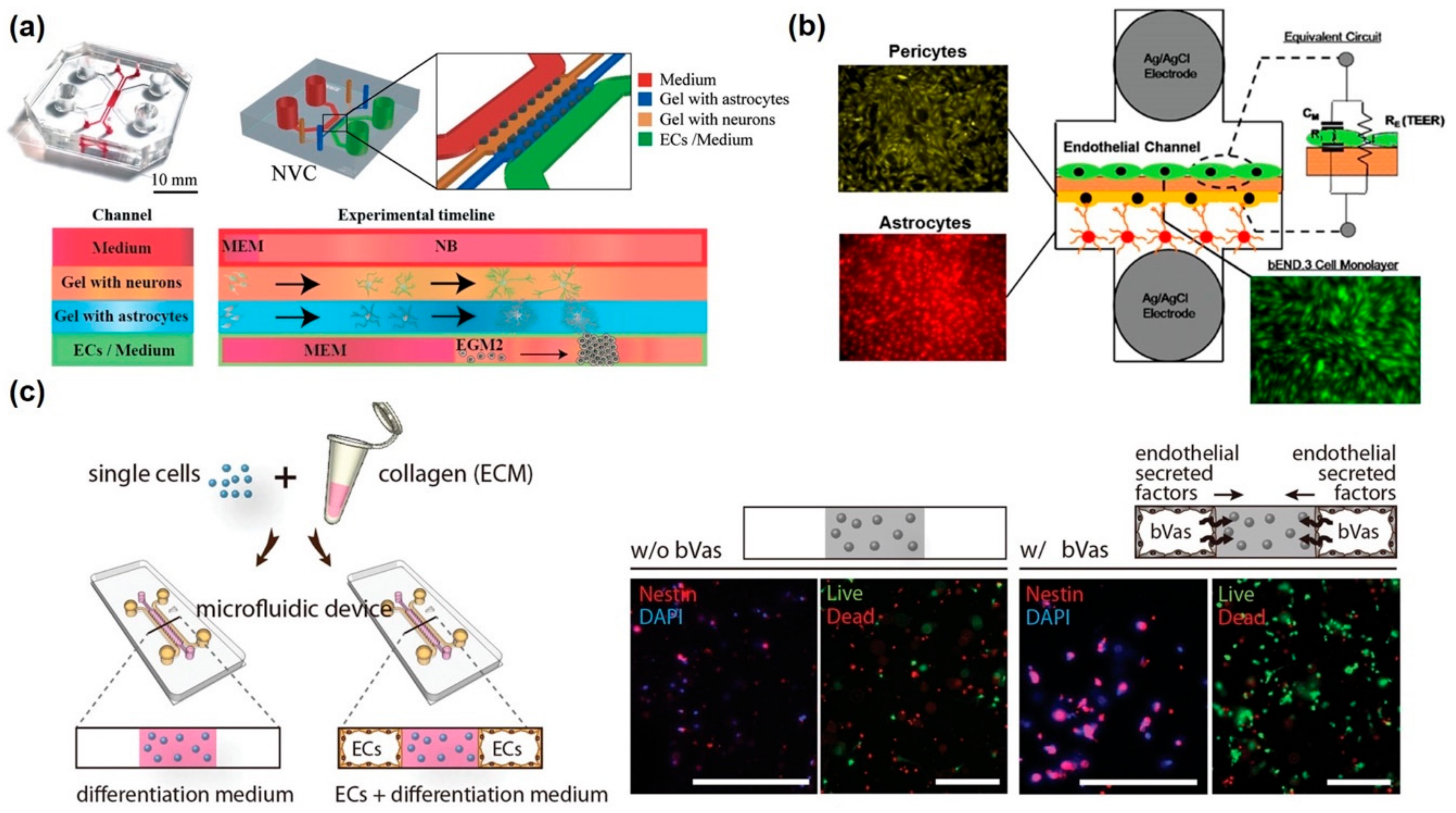 Micromachines 11 00021 g004 Micromachines 11 00021 g004
