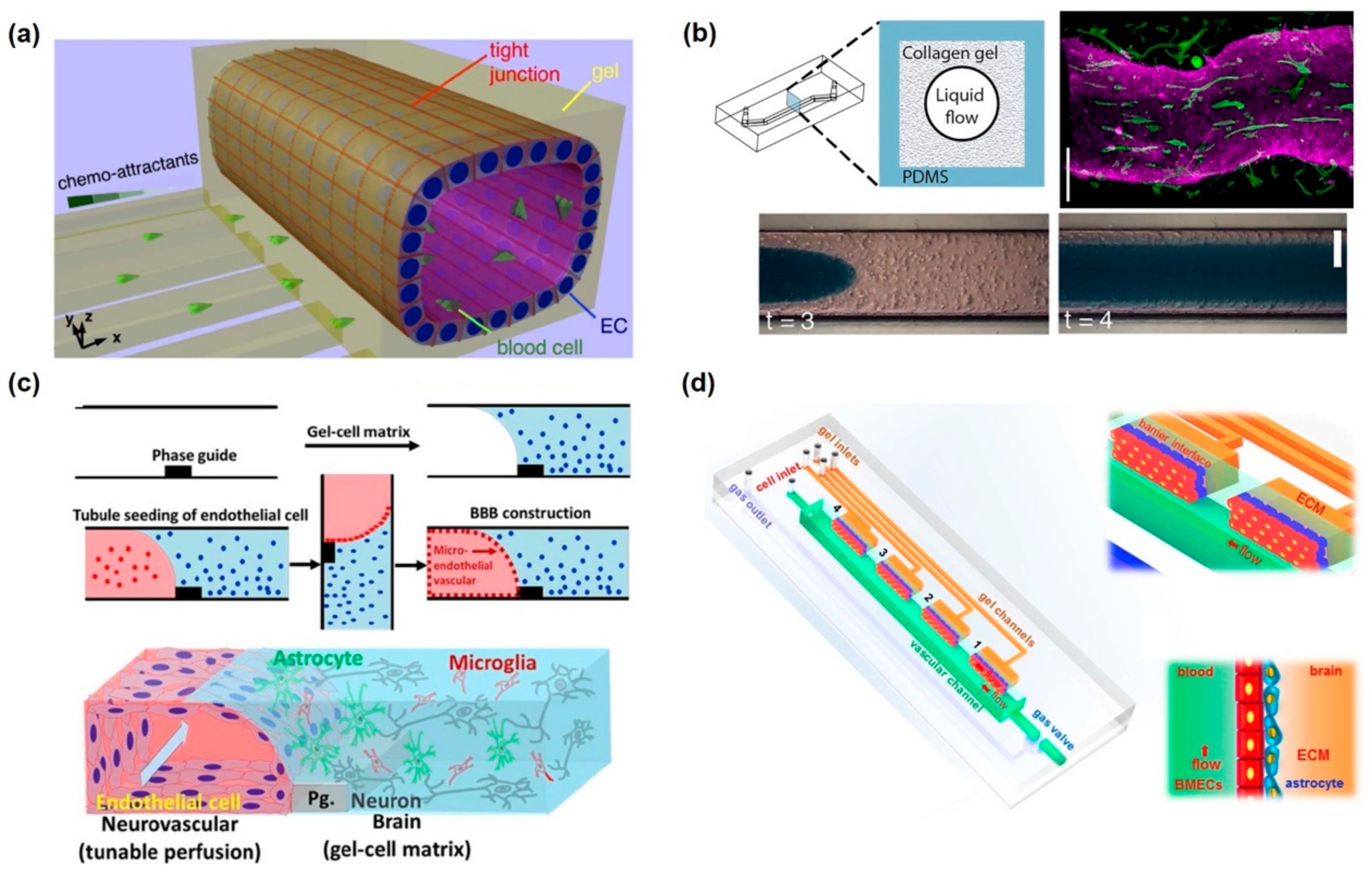 Micromachines 11 00021 g005 Micromachines 11 00021 g005