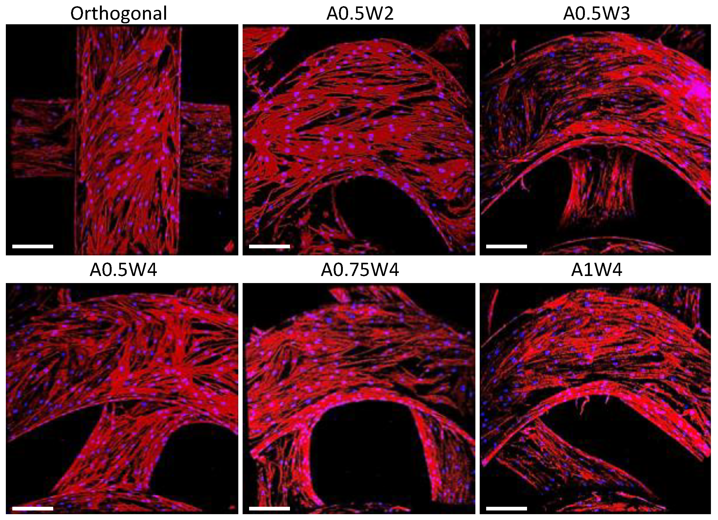 Micromachines 11 00031 g005 Micromachines 11 00031 g005