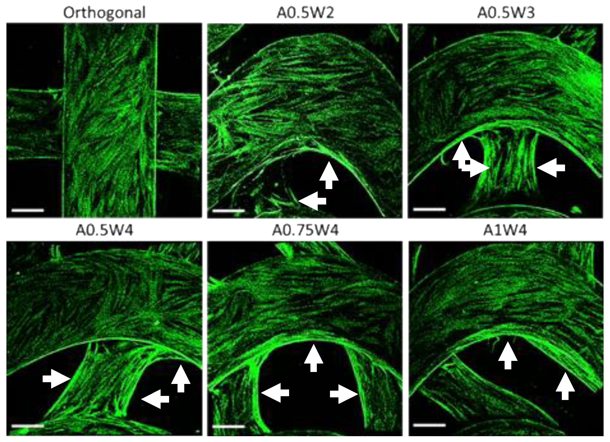 Micromachines 11 00031 g008 Micromachines 11 00031 g008