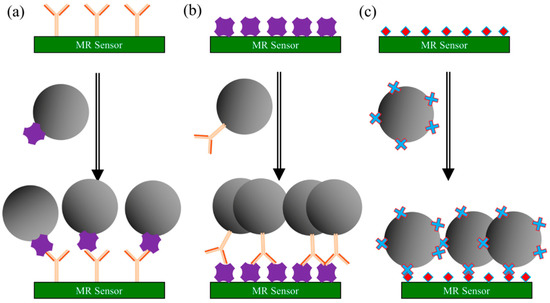 【58】専用ページ Structural, magnetic, and dielectric properties of Sr1