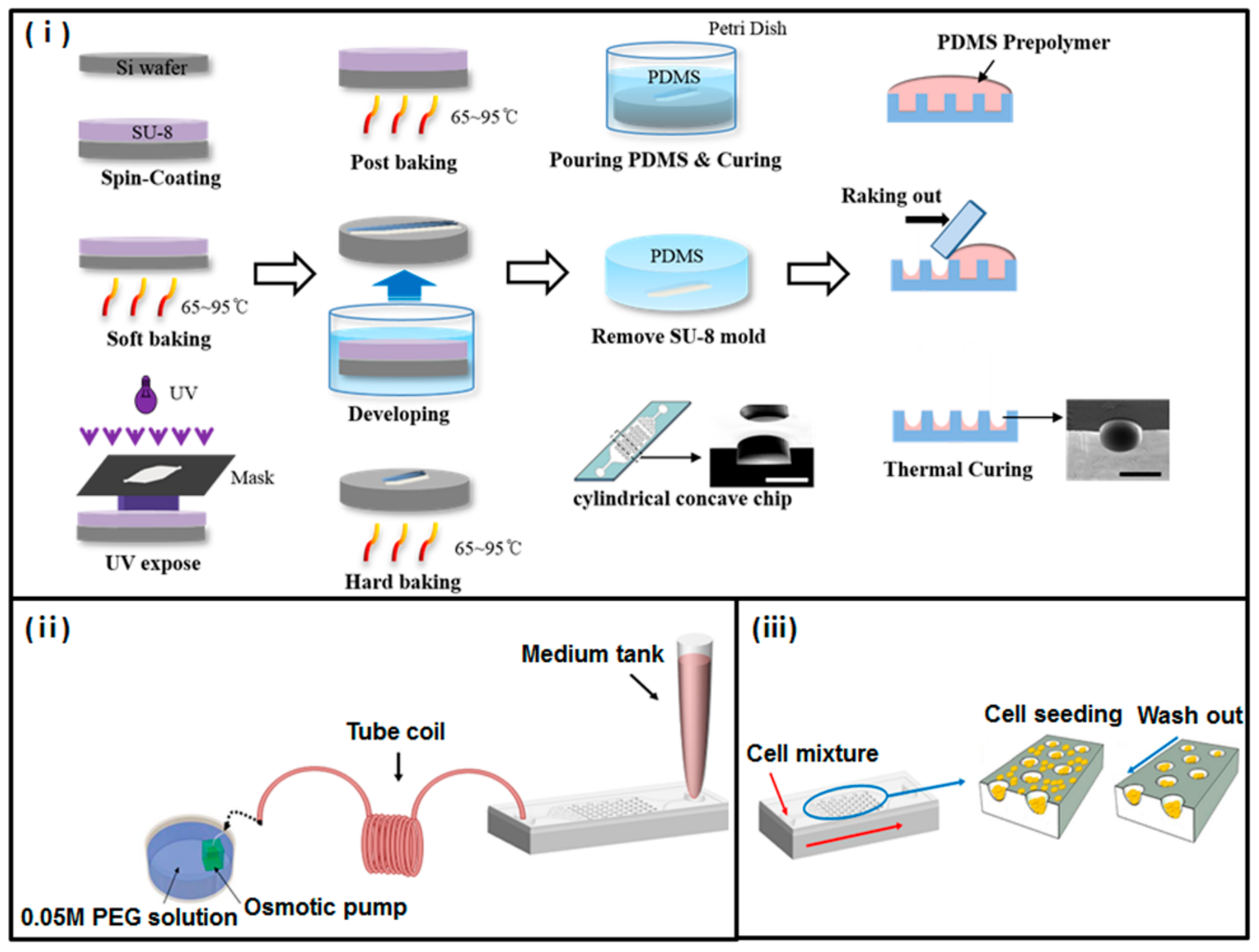 Micromachines 11 00036 g001 Micromachines 11 00036 g001