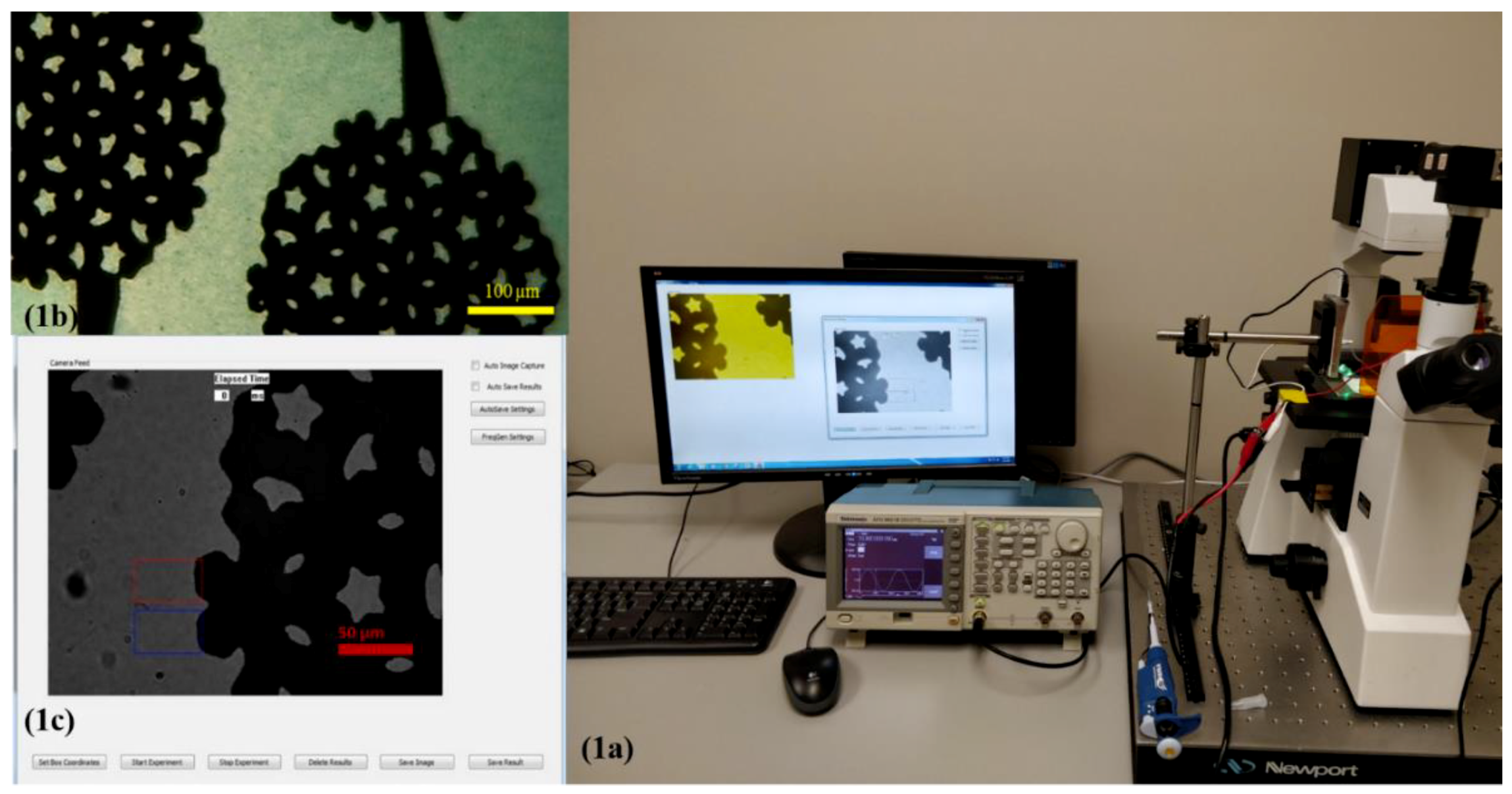 Micromachines 11 00039 g001