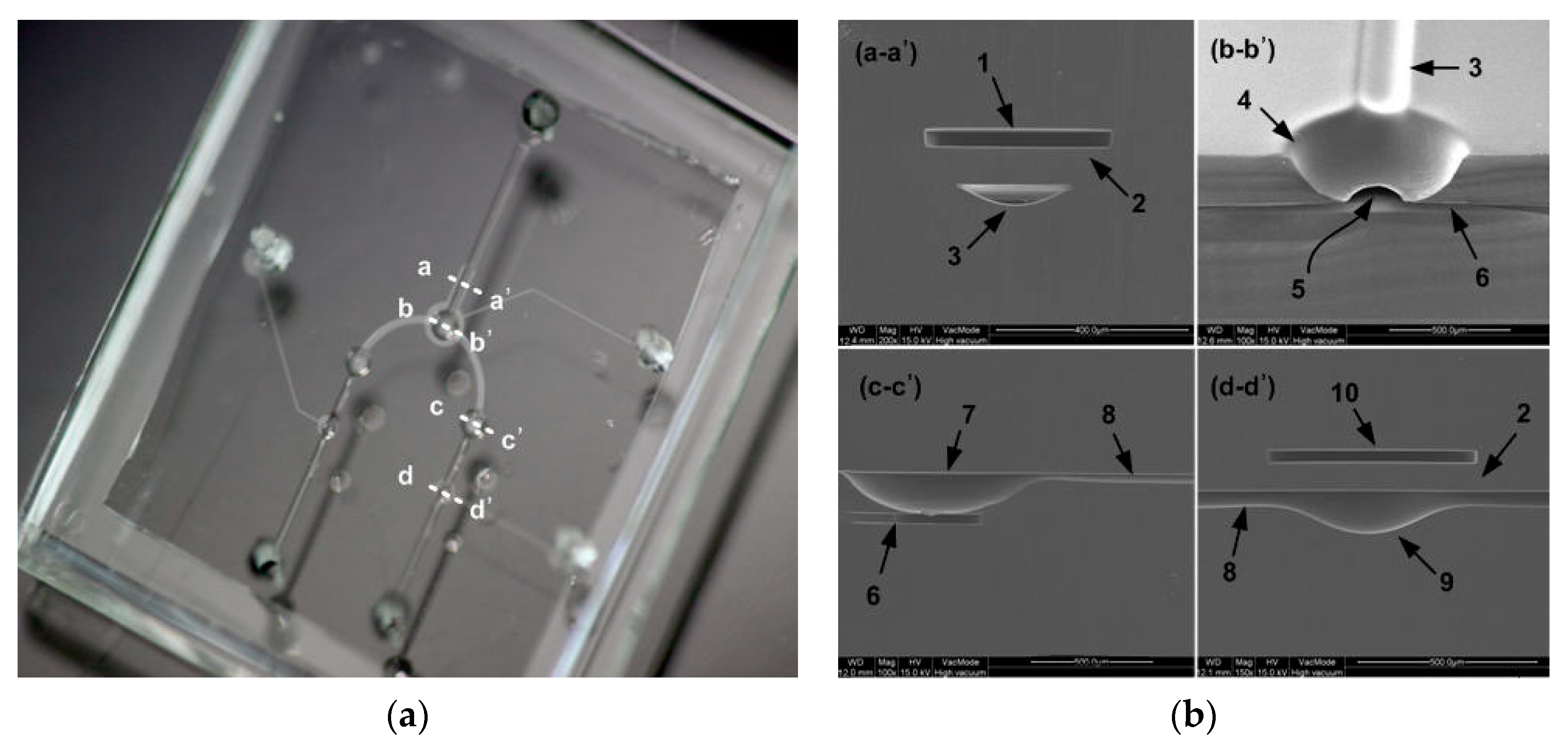 Micromachines 11 00040 g004 Micromachines 11 00040 g004