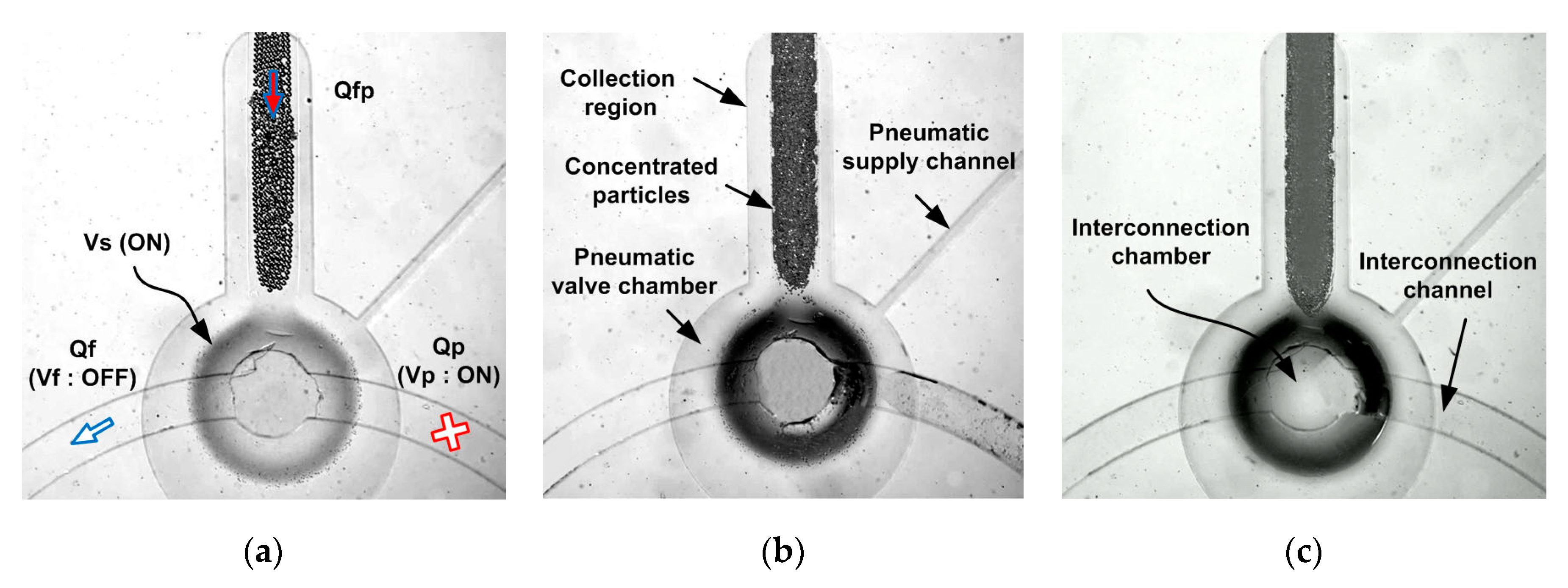 Micromachines 11 00040 g008 Micromachines 11 00040 g008