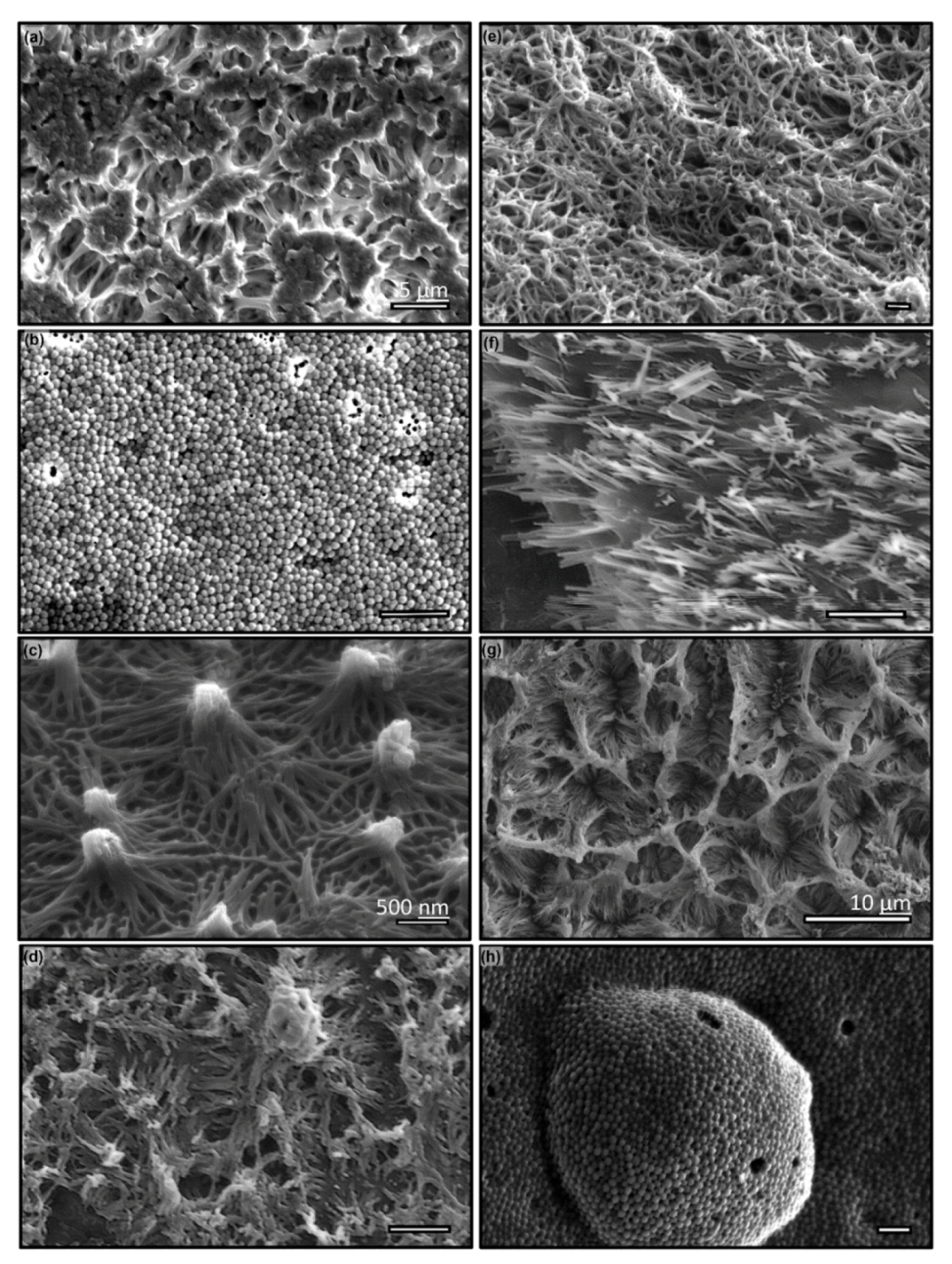 Micromachines 11 00046 g005 Micromachines 11 00046 g005