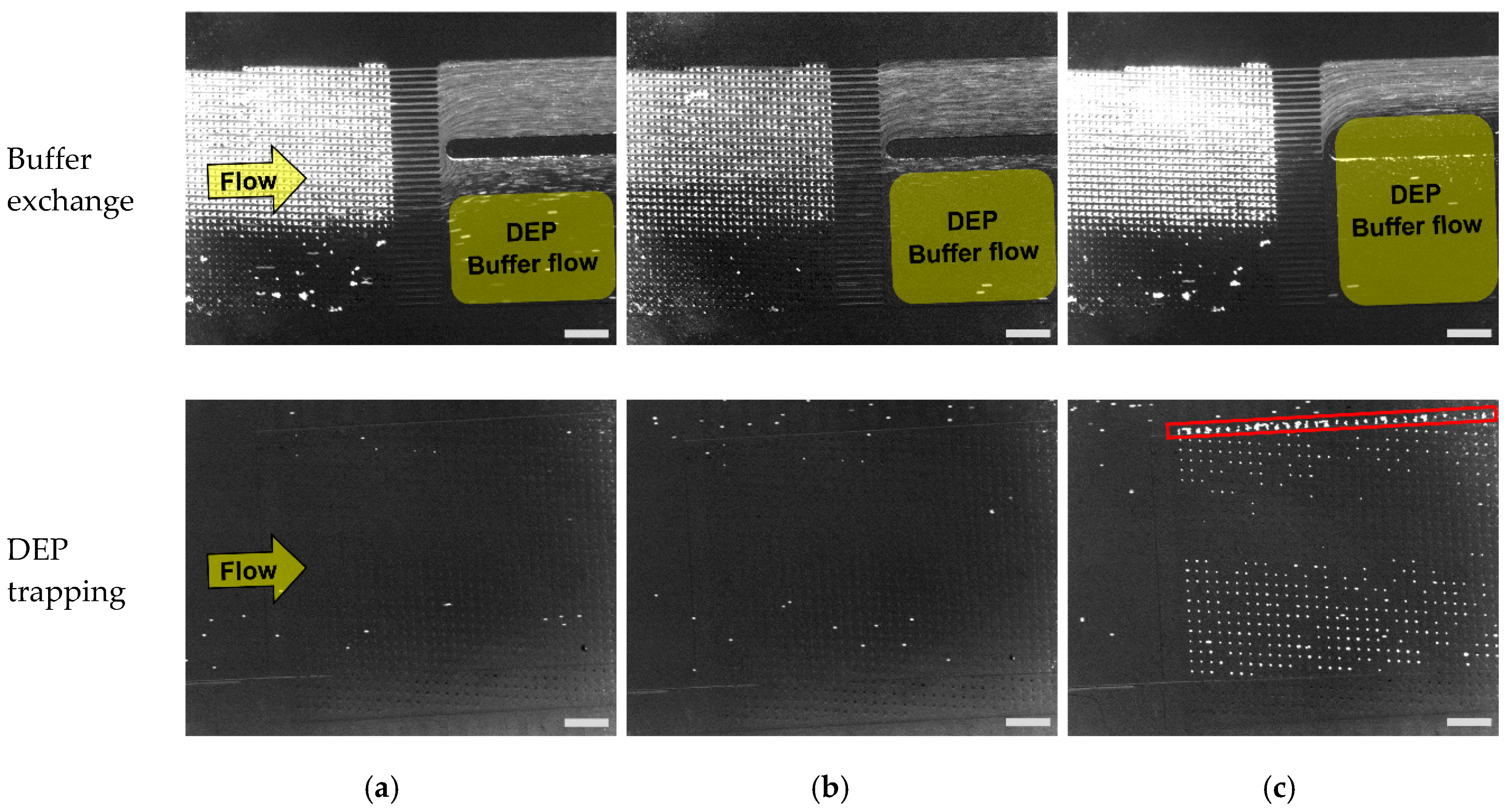 Micromachines 11 00047 g007 Micromachines 11 00047 g007