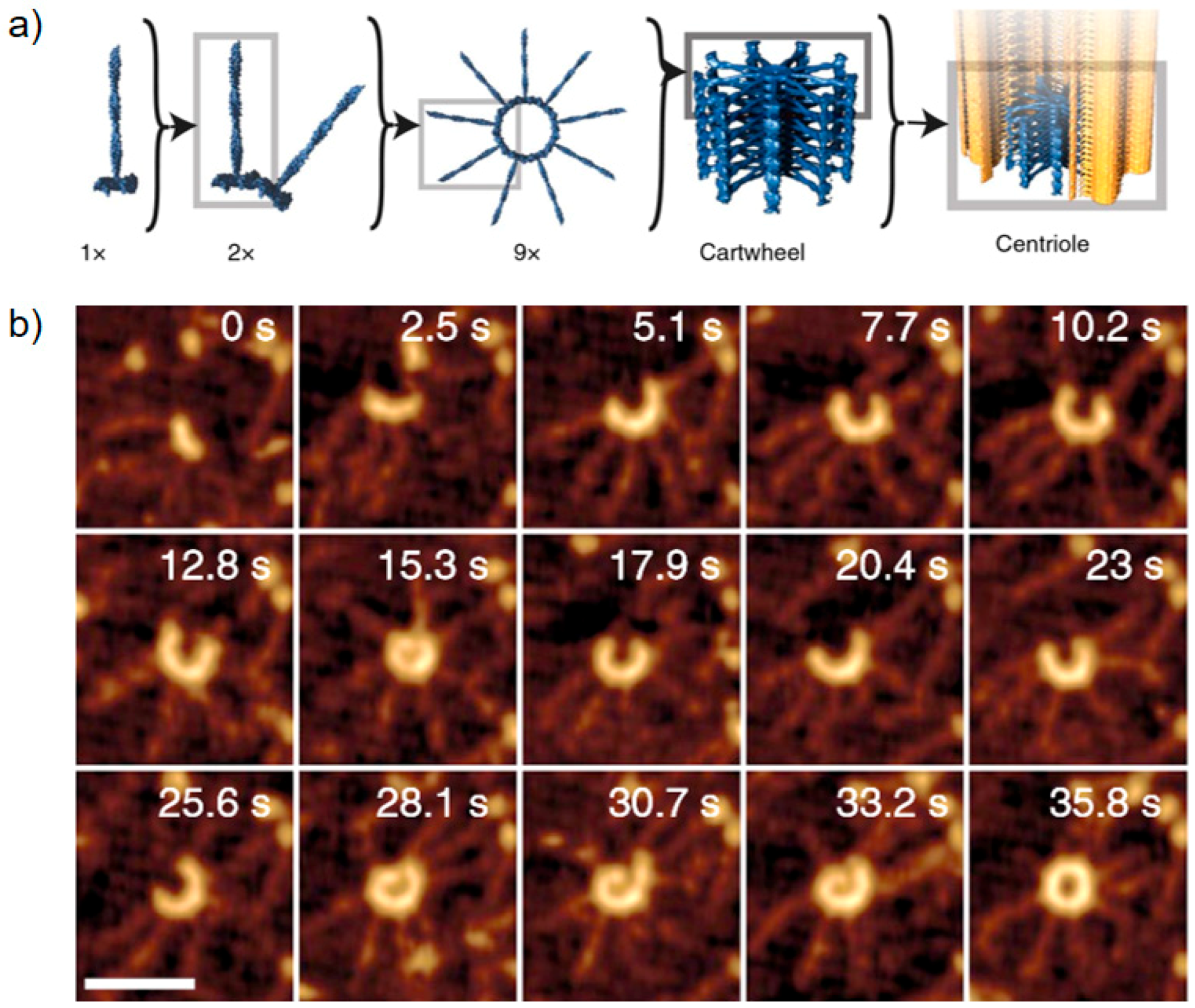 Micromachines 11 00048 g005 Micromachines 11 00048 g005