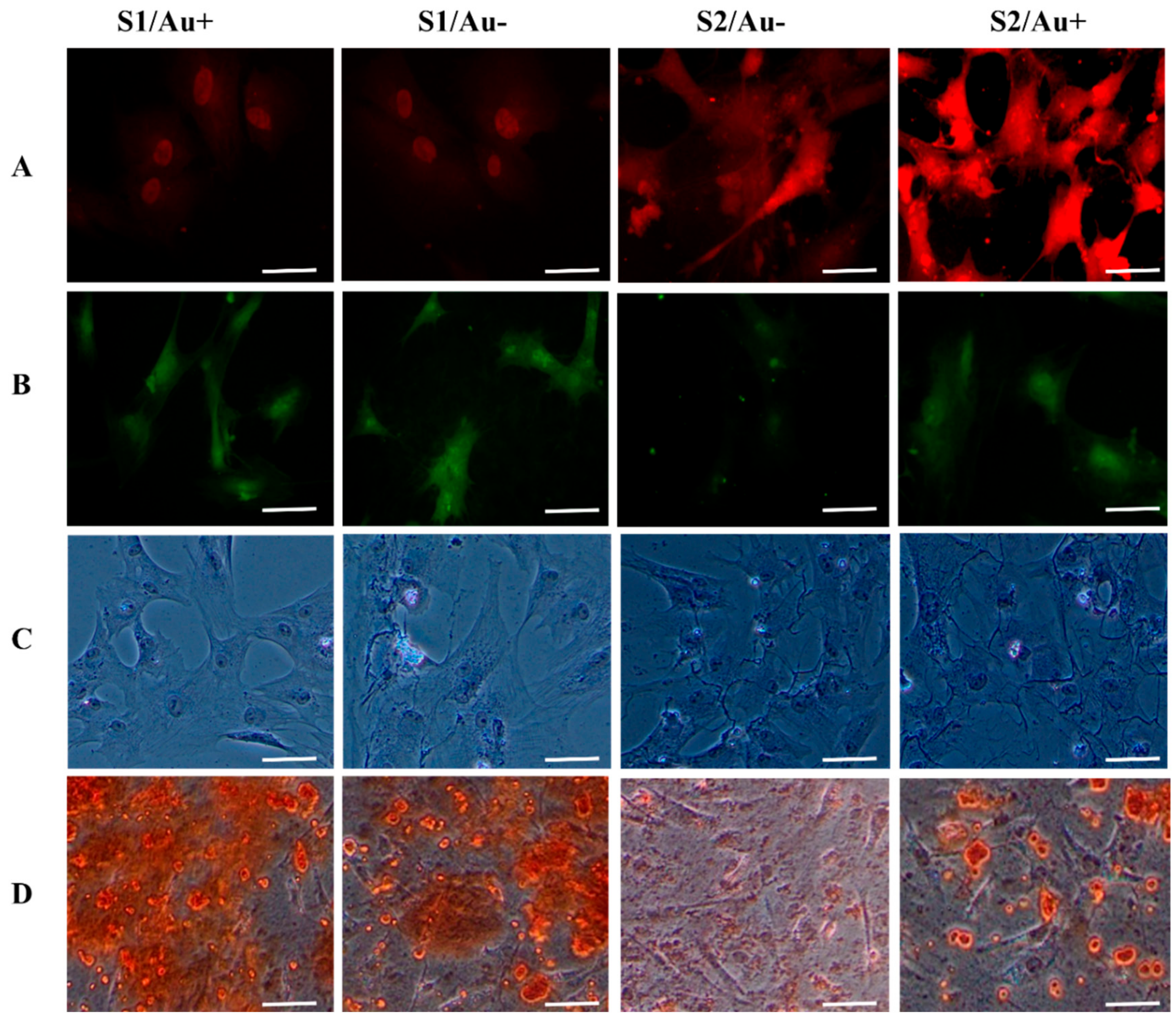 Micromachines 11 00050 g006