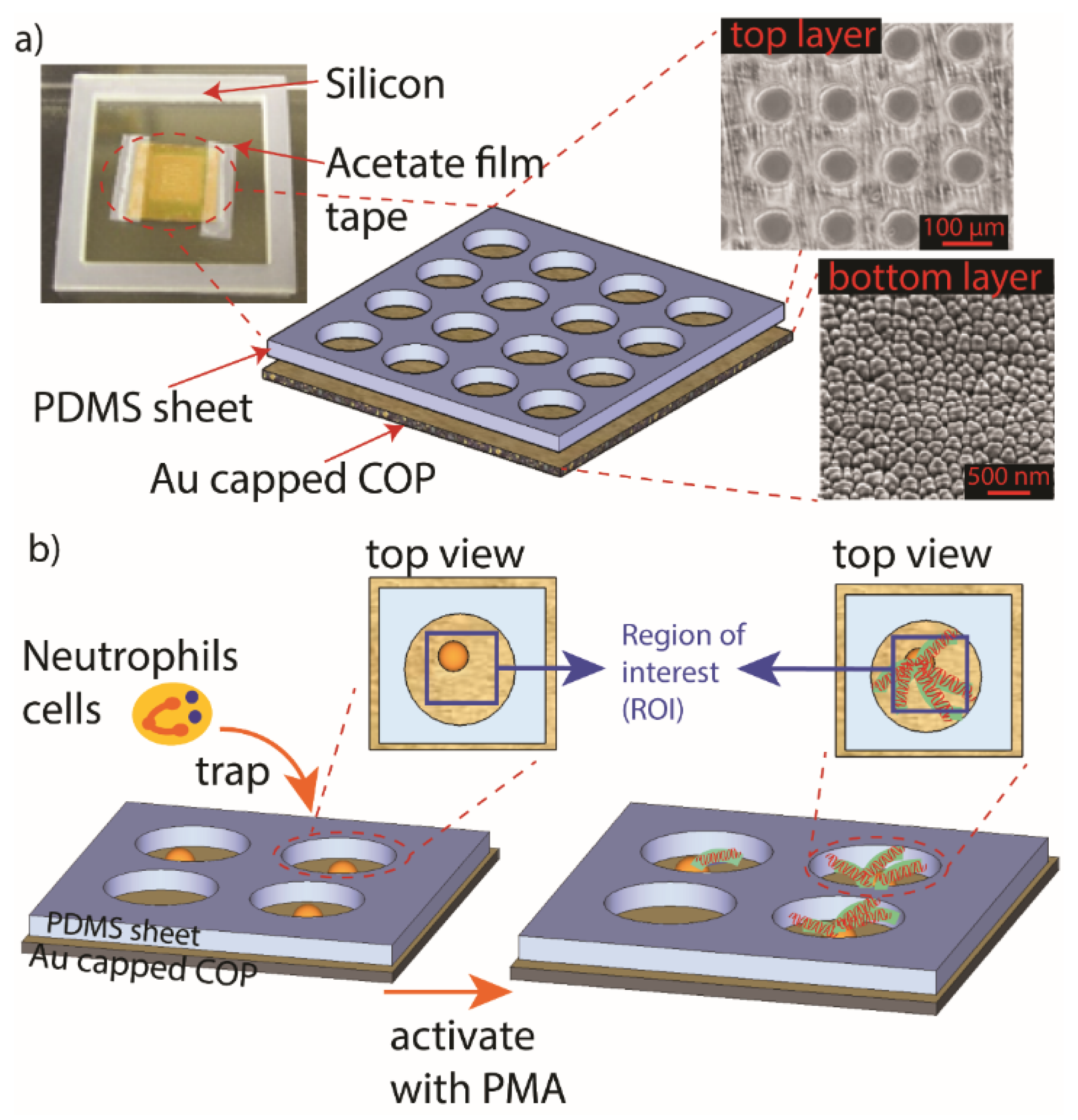 Micromachines 11 00052 g002