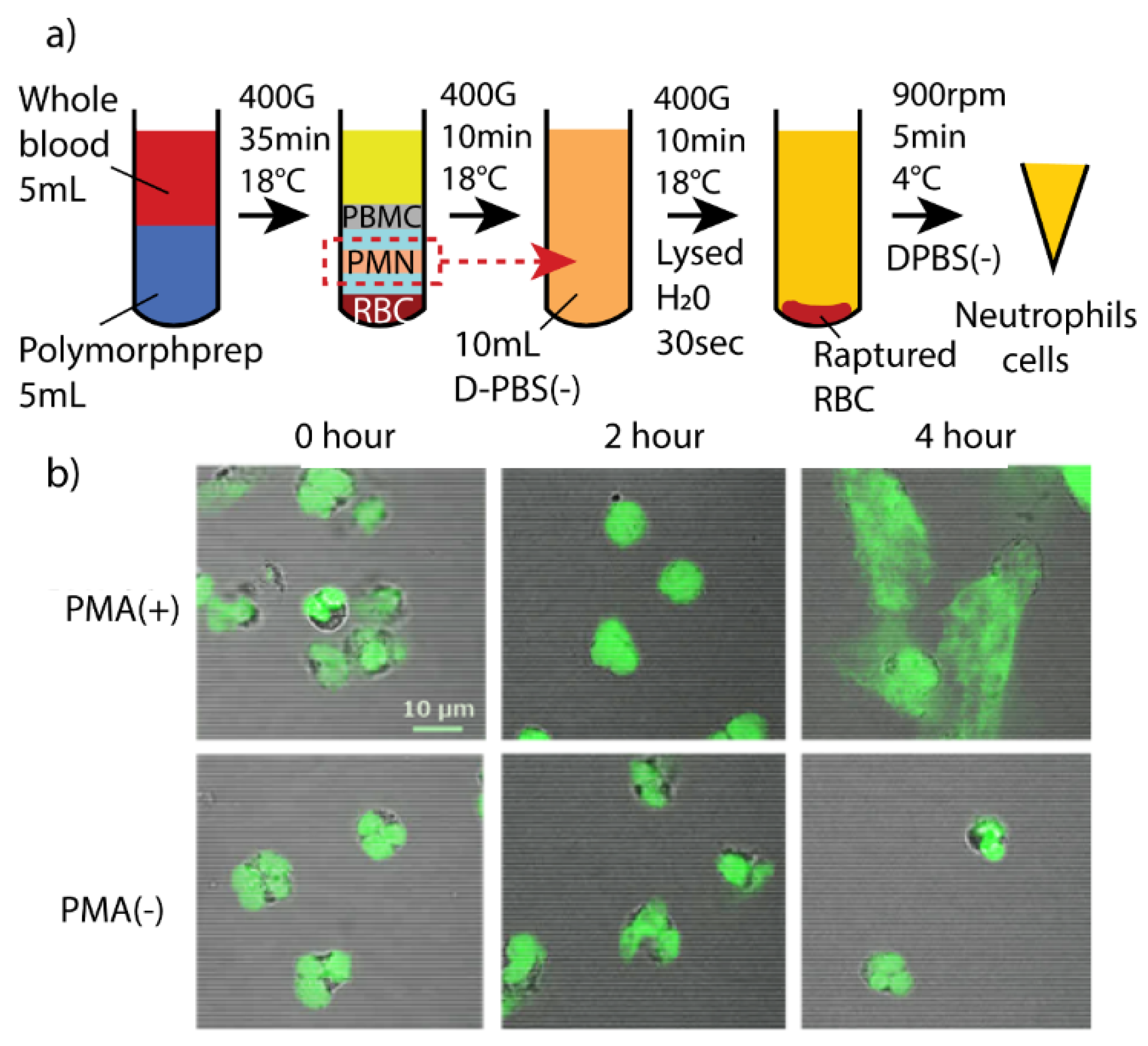 Micromachines 11 00052 g006