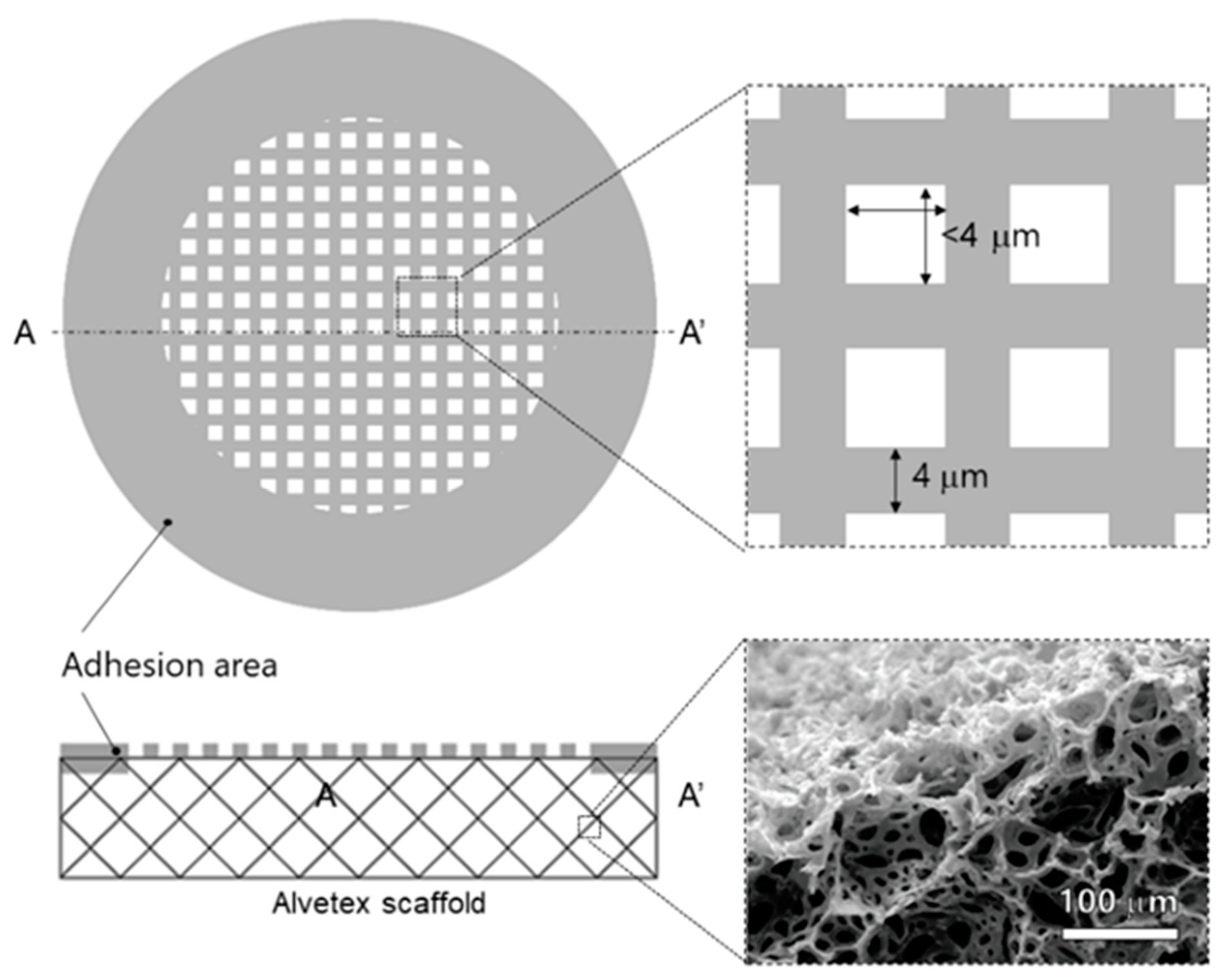 Micromachines 11 00054 g003 Micromachines 11 00054 g003