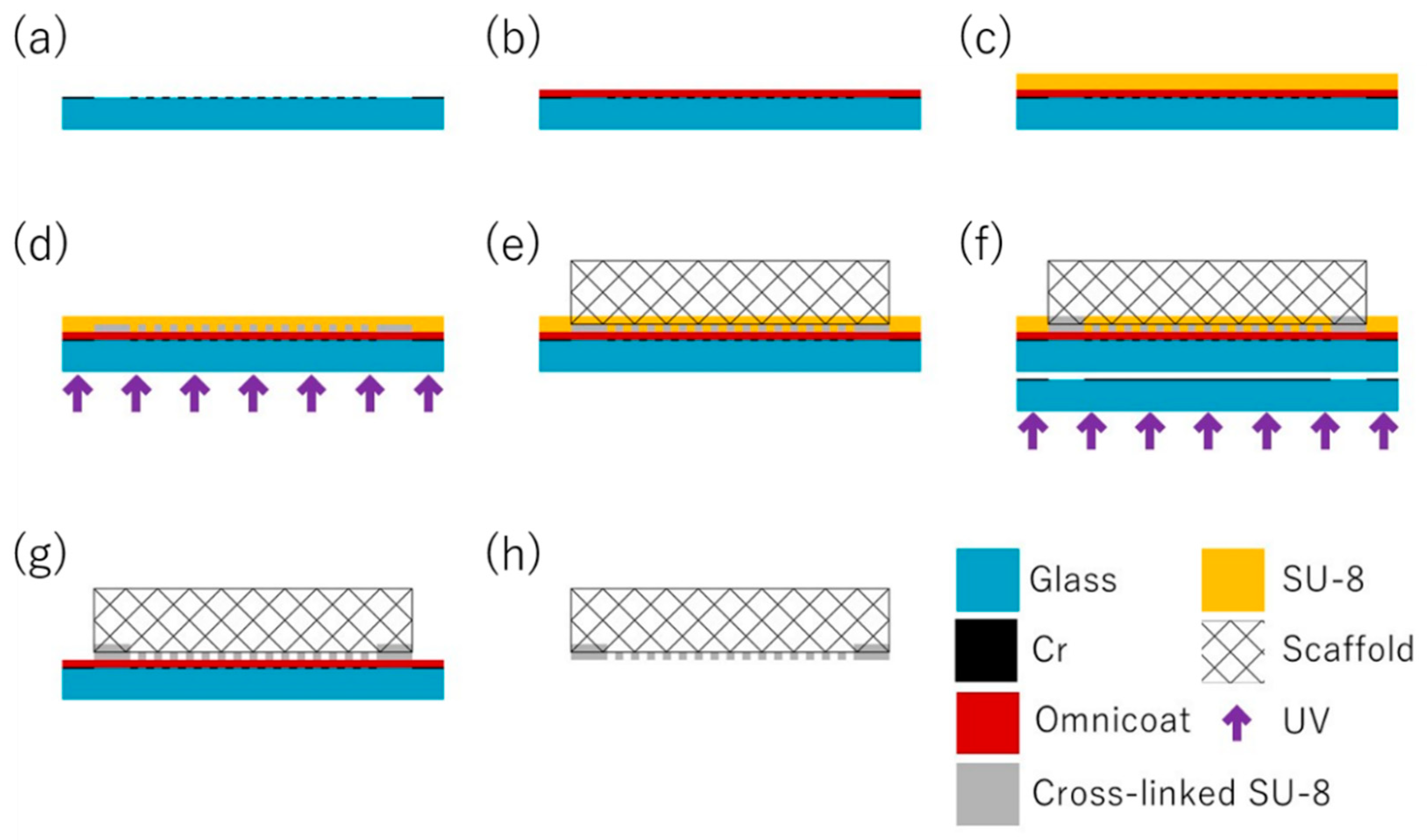 Micromachines 11 00054 g004 Micromachines 11 00054 g004